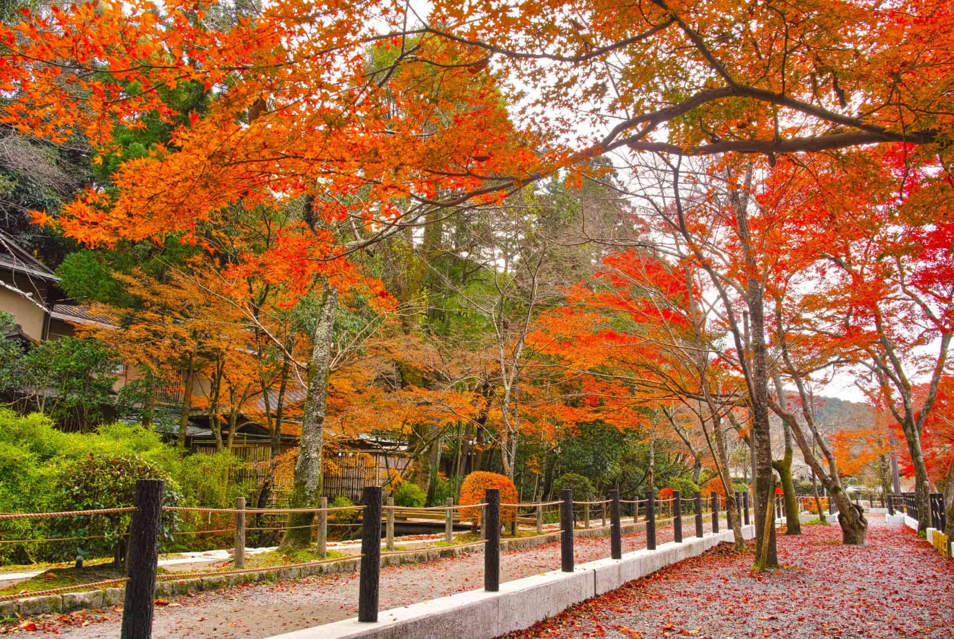 chemin du philosophe automne