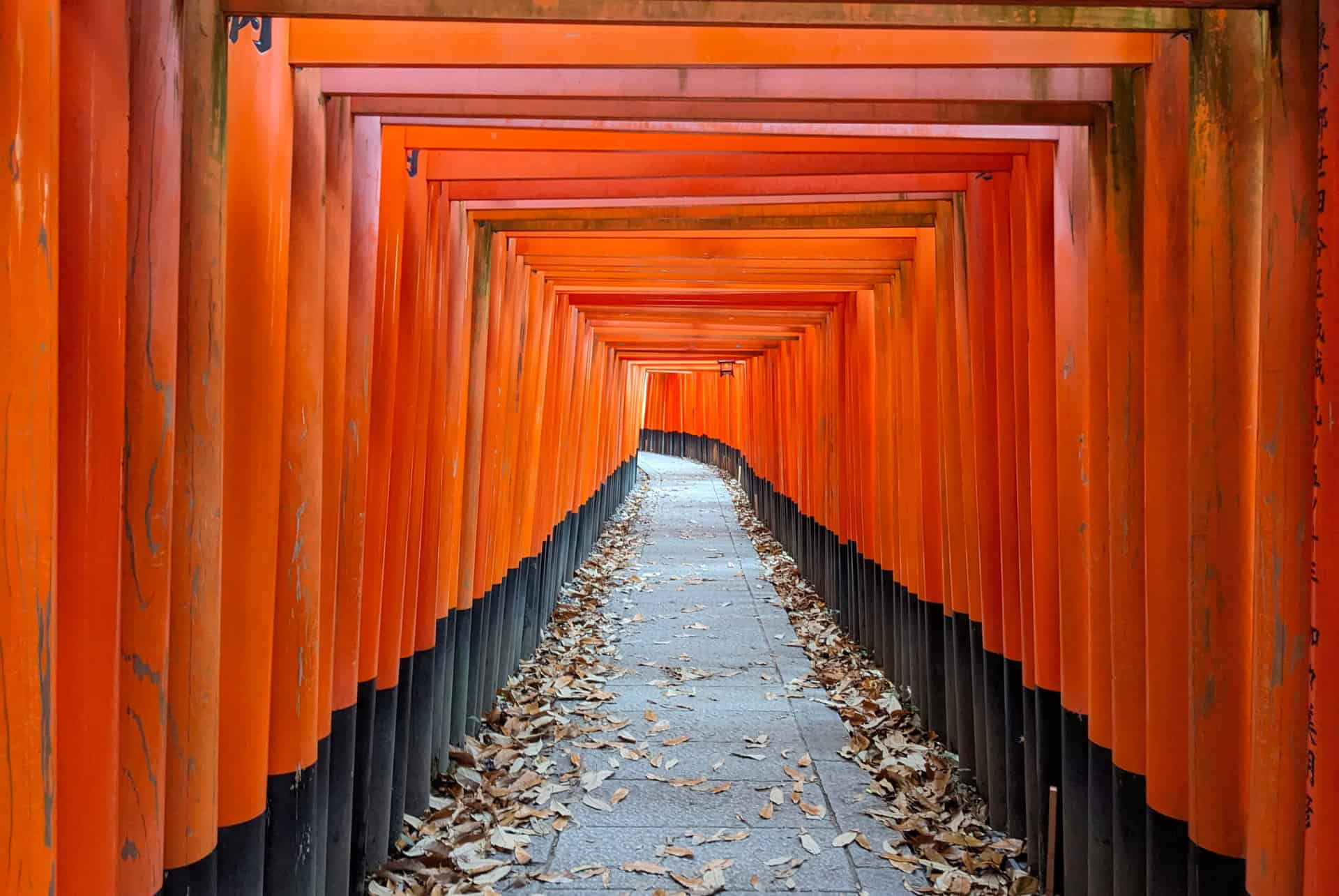 fushimi inari taisha fushimi inari taisha