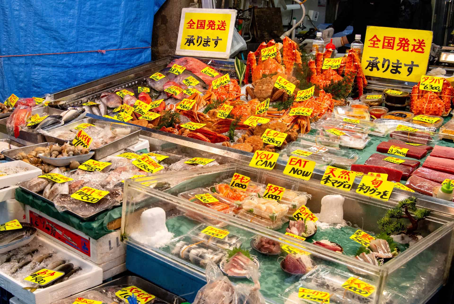 itineraire 2 semaines au japon marche poisson tsukiji itineraire 2 semaines au japon marche poisson tsukiji