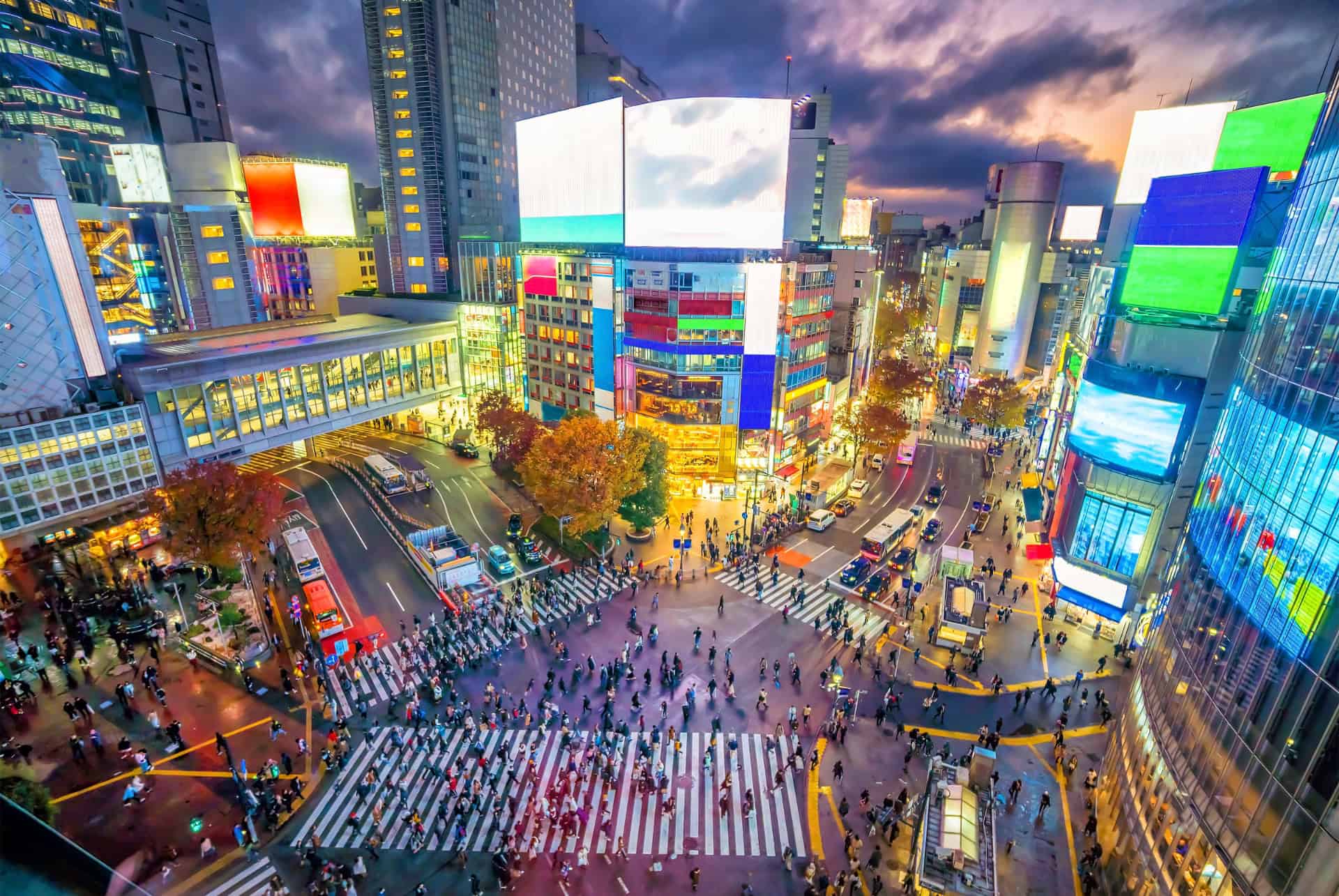 quartiers tokyo shibuya