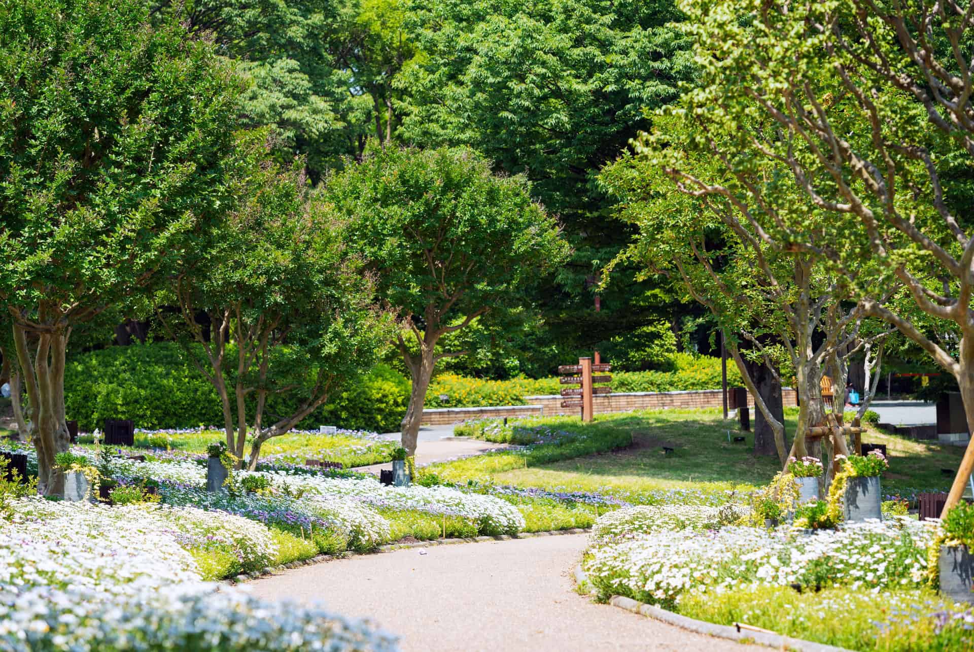 jardin botanique nagai osaka