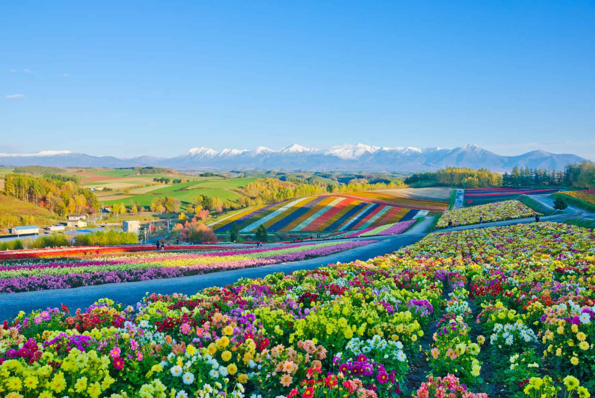 jardins de fleurs biei hokkaido