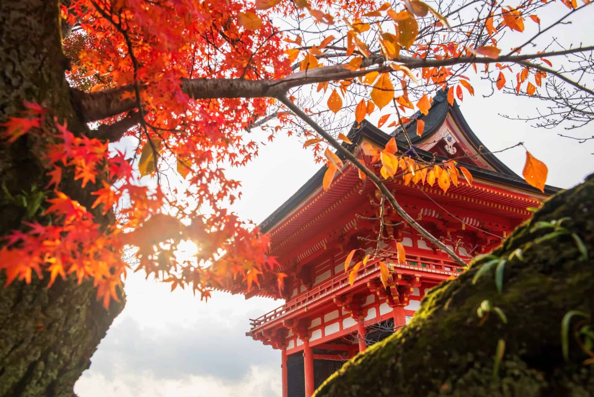 kyoto automne