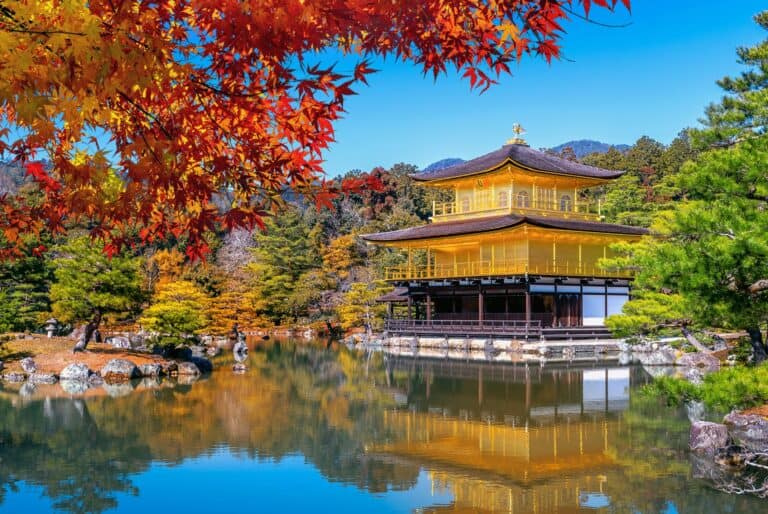 Visite des plus beaux sites de Kyoto et du parc de Nara