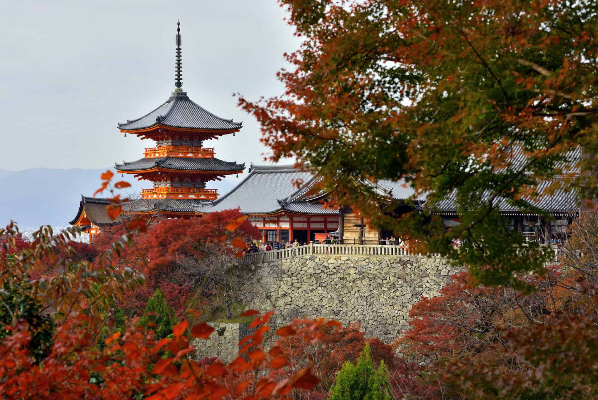 apercu du temple kiomizu dera a kyoto