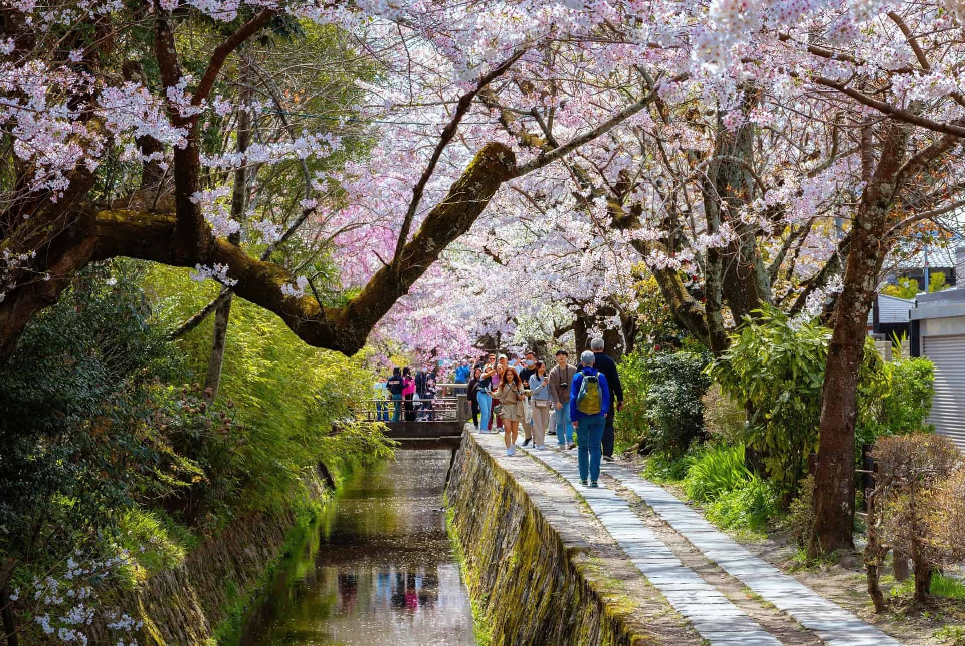 chemin des philosophes kyoto 3 jours