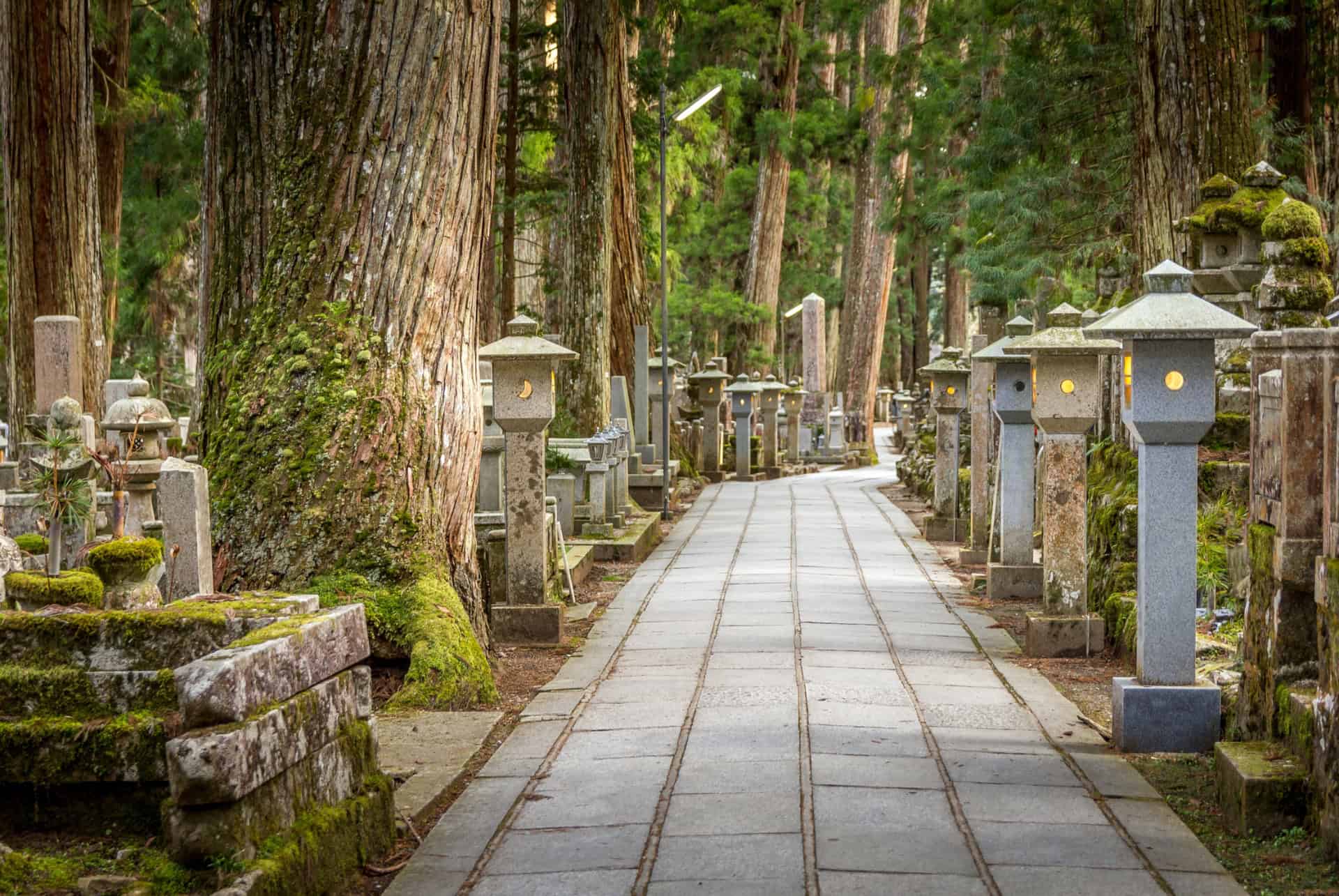 cimetiere historique du mont koya
