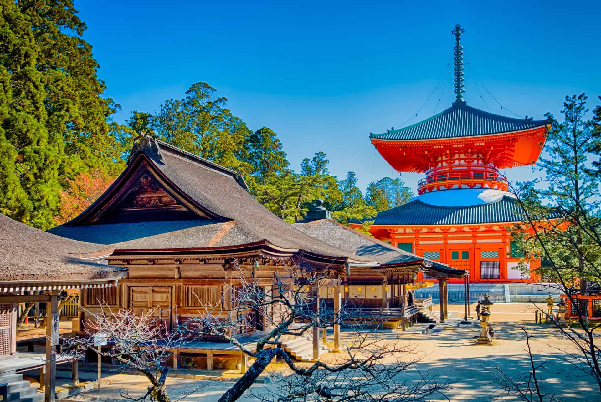 japon en aout mont koya