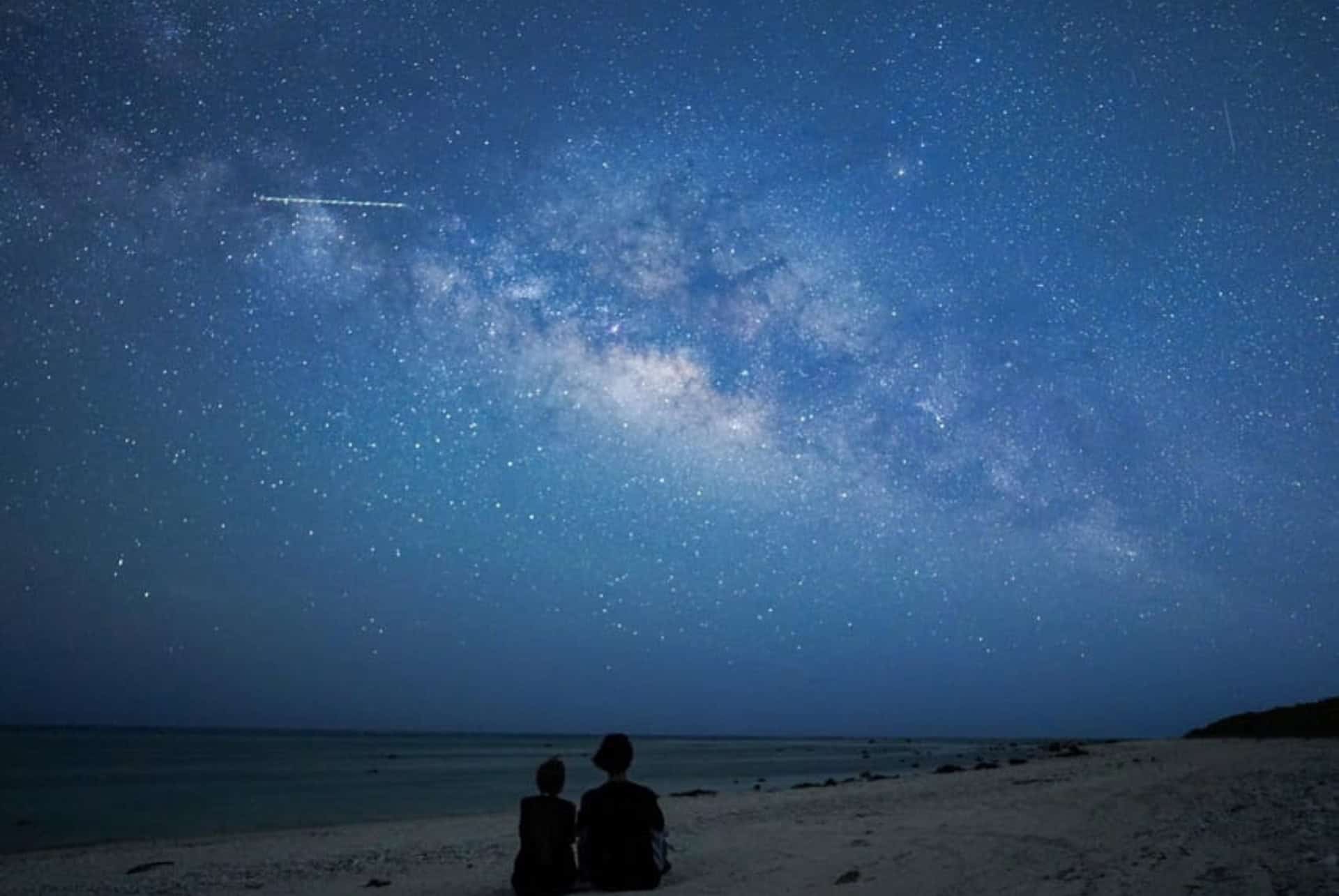 plus belles iles du japon - ishigaki visite nocturne de la jungle