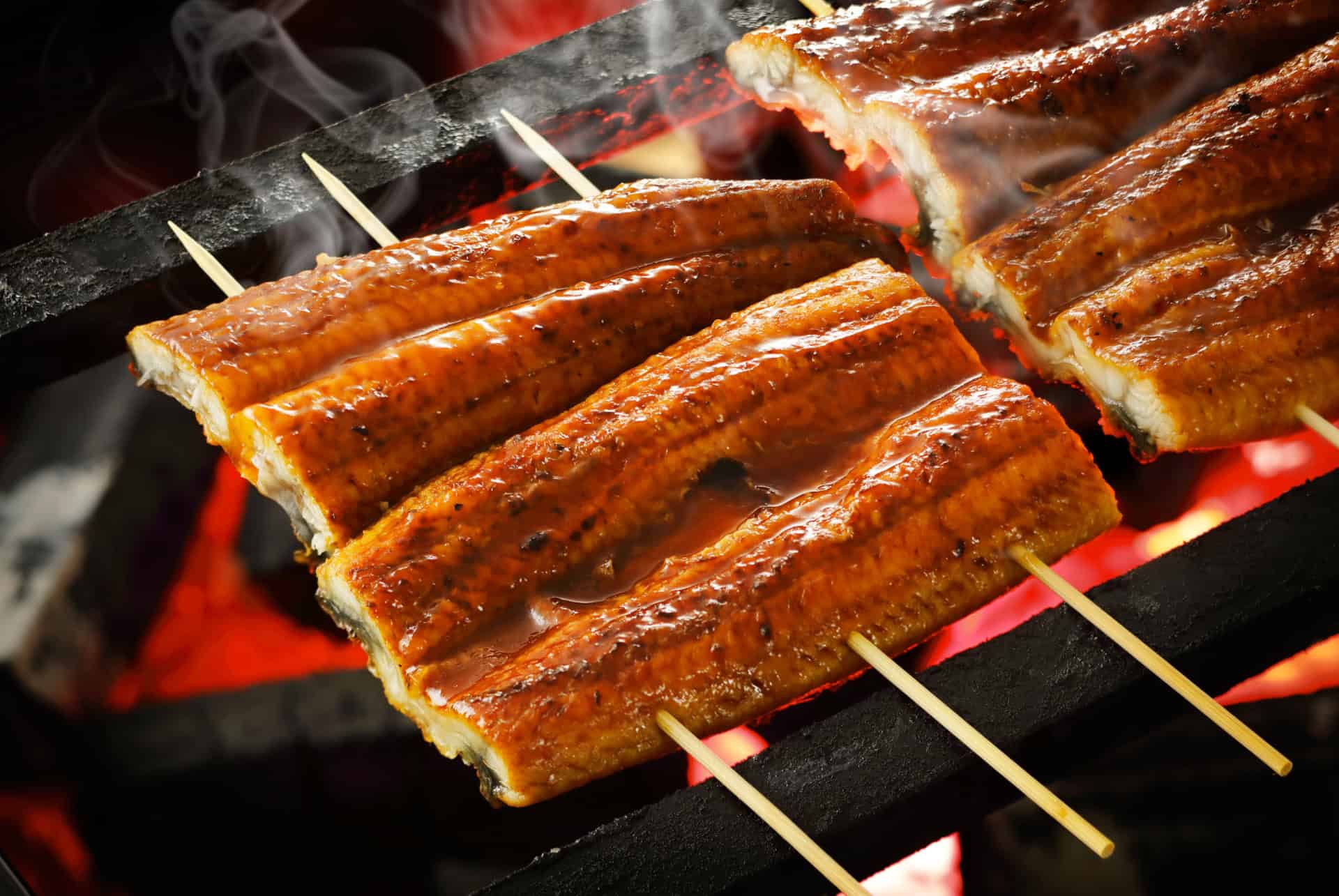 anguille grillee anguille grillee