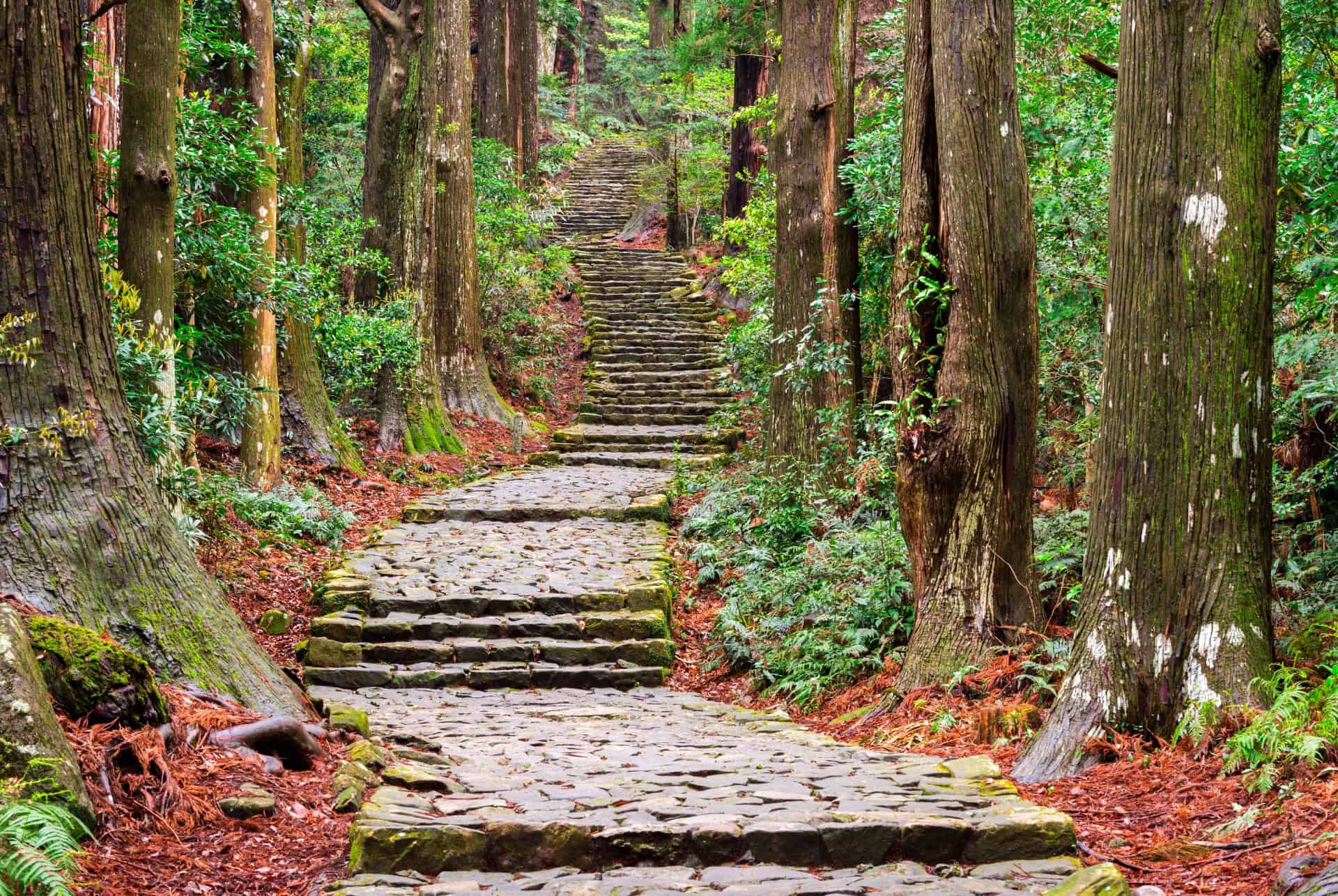 plus belles randonnées au japon sentier Kumano kodo plus belles randonnées au japon sentier Kumano kodo
