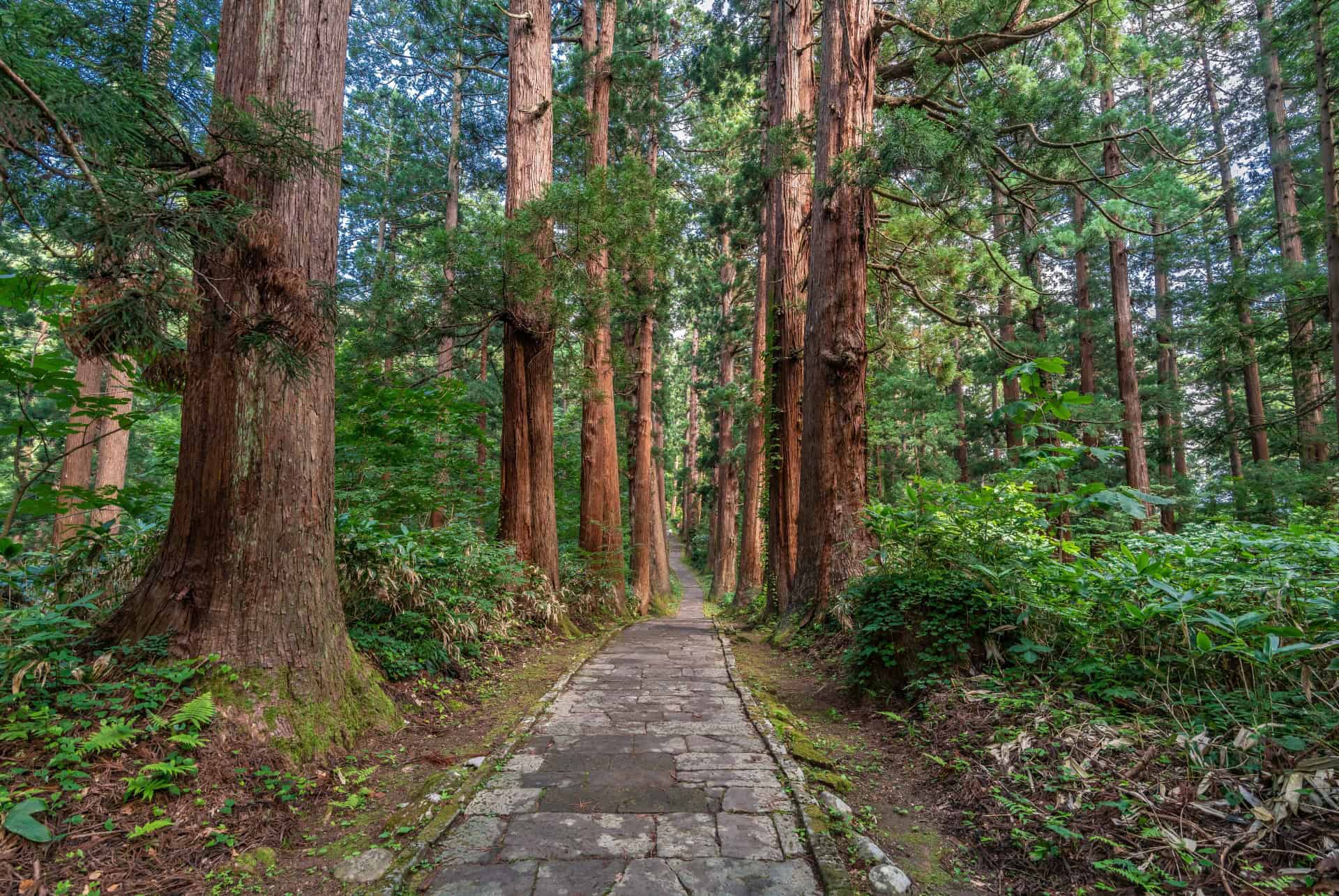 region de dewa sanzan plus belles randonnees au japon region de dewa sanzan plus belles randonnees au japon