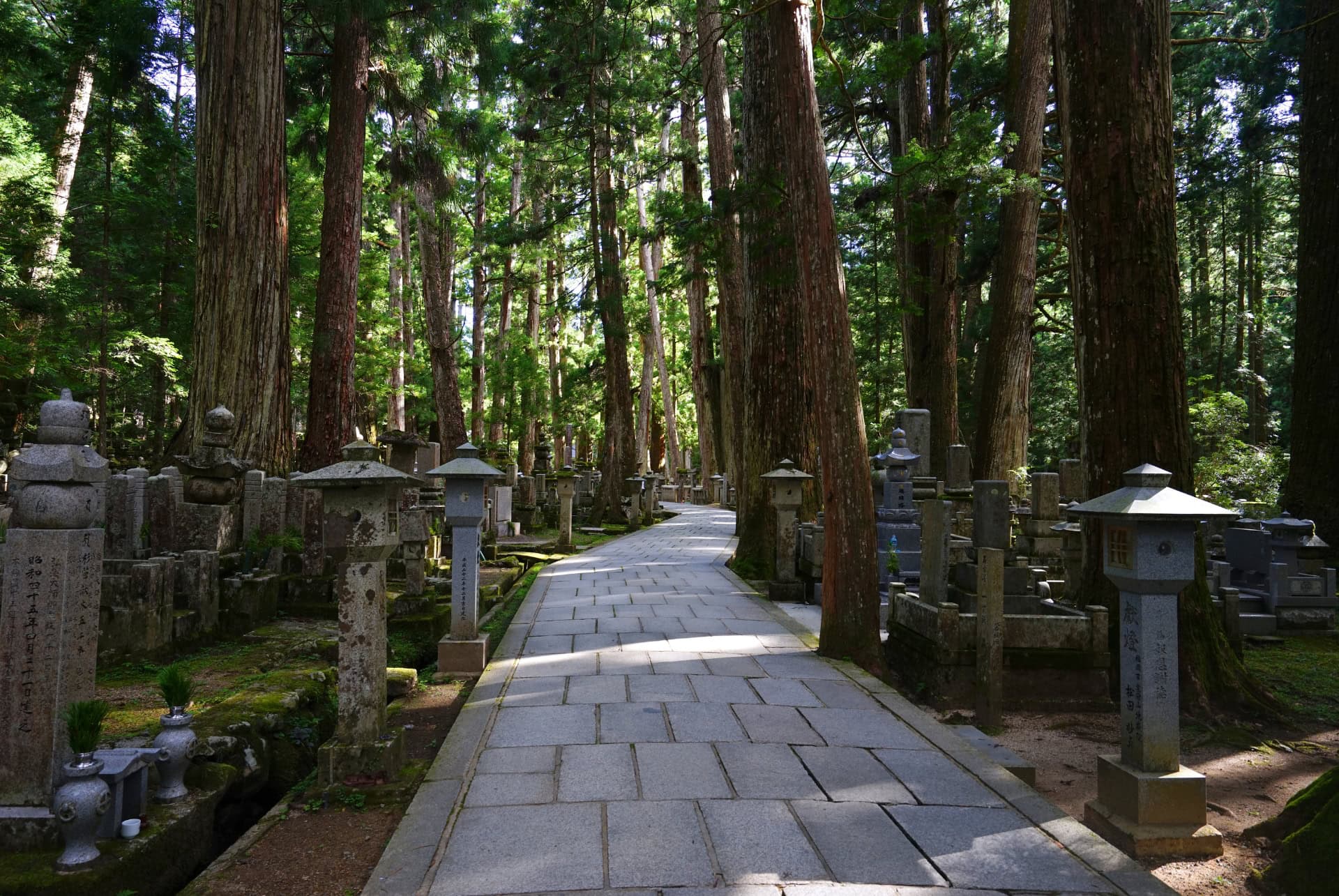 cimetiere de okuno in du mont koya cimetiere de okuno in du mont koya