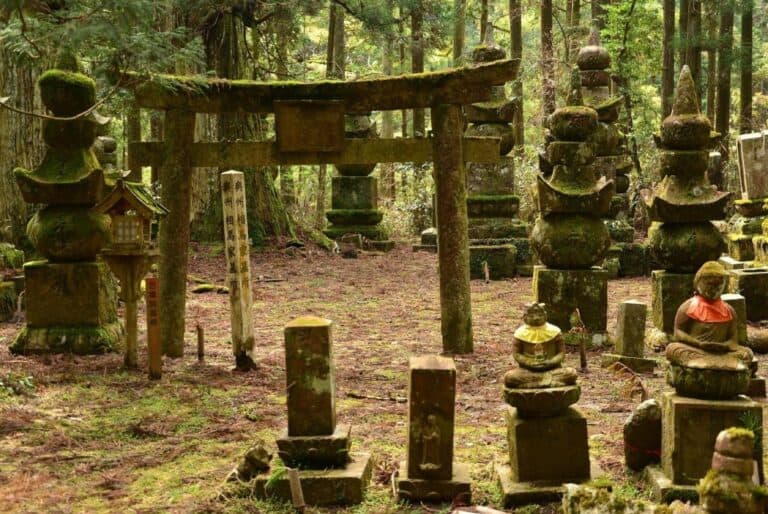 Visite privée de 4 h au Mont Koya