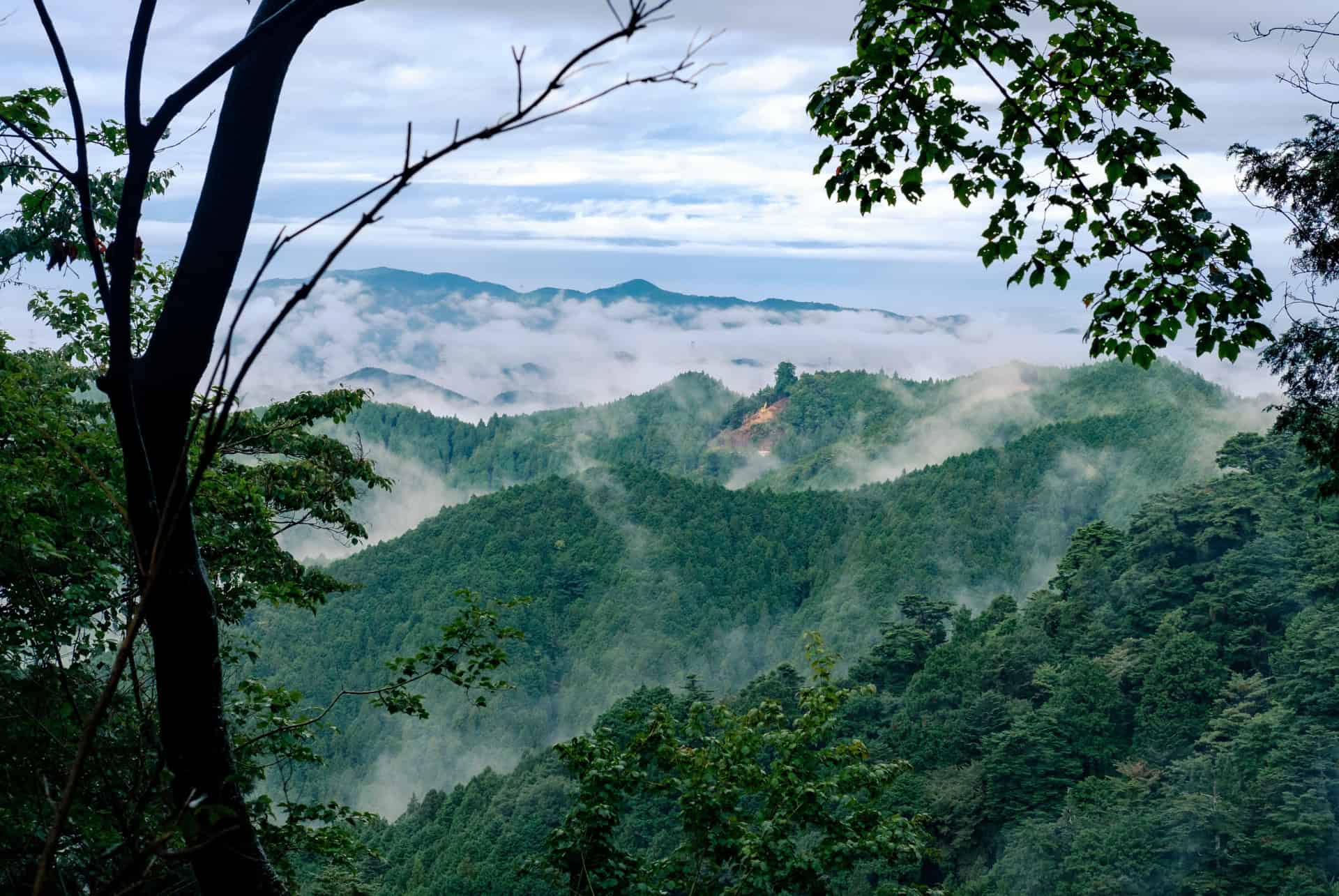 vue depuis le mont koya vue depuis le mont koya