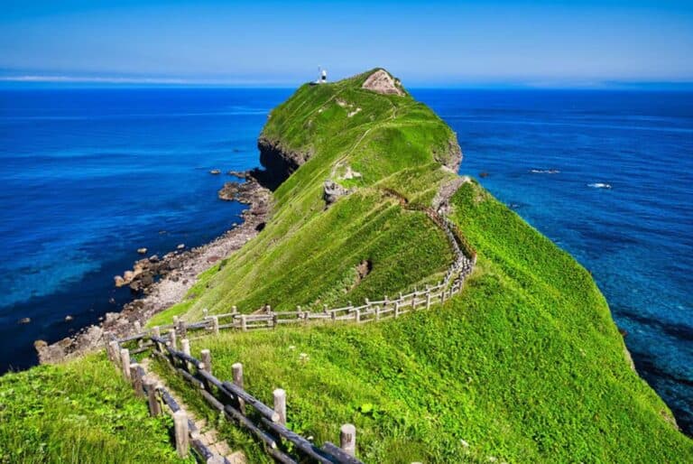 Excursion vers les incontournables d'Hokkaido