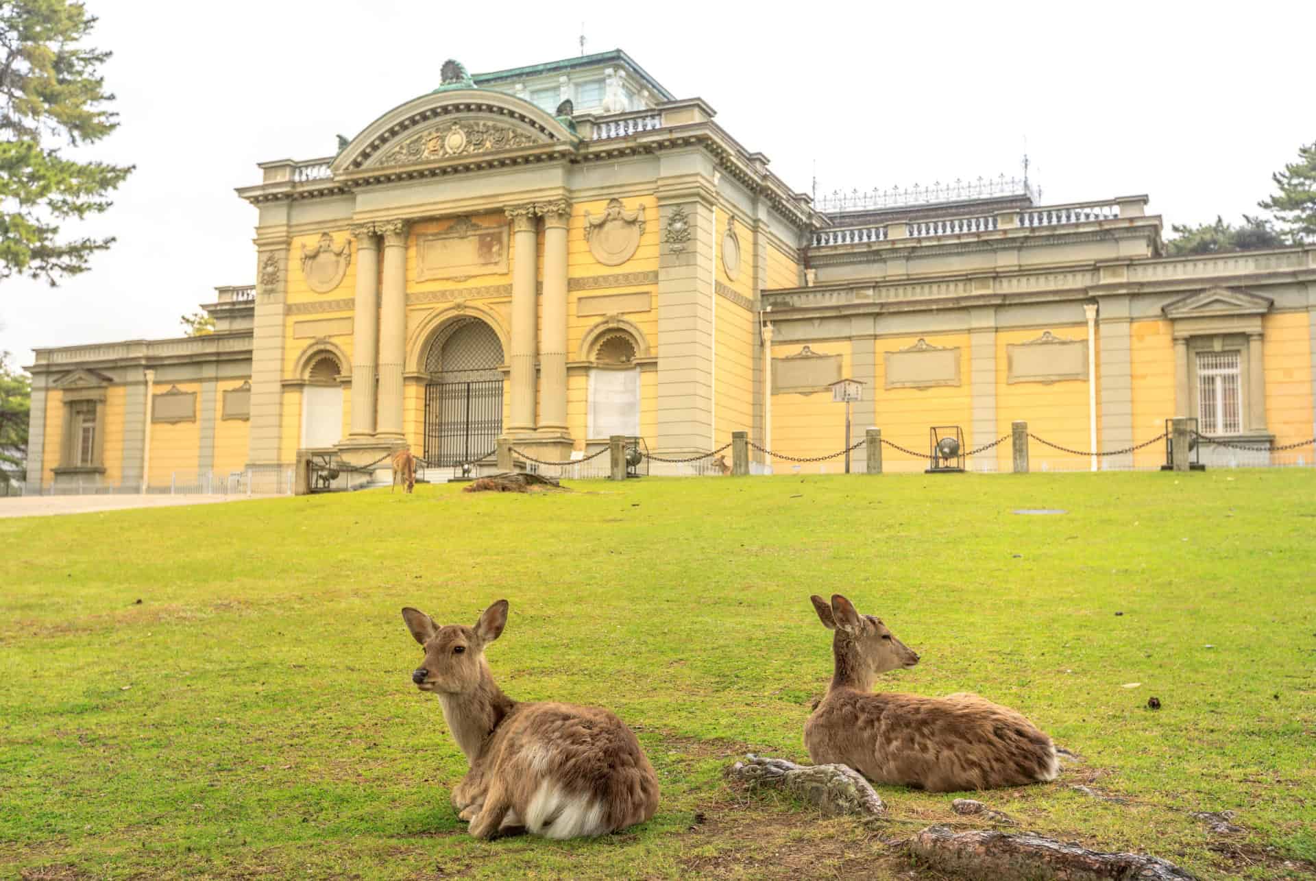 musee nationale de nara musee nationale de nara