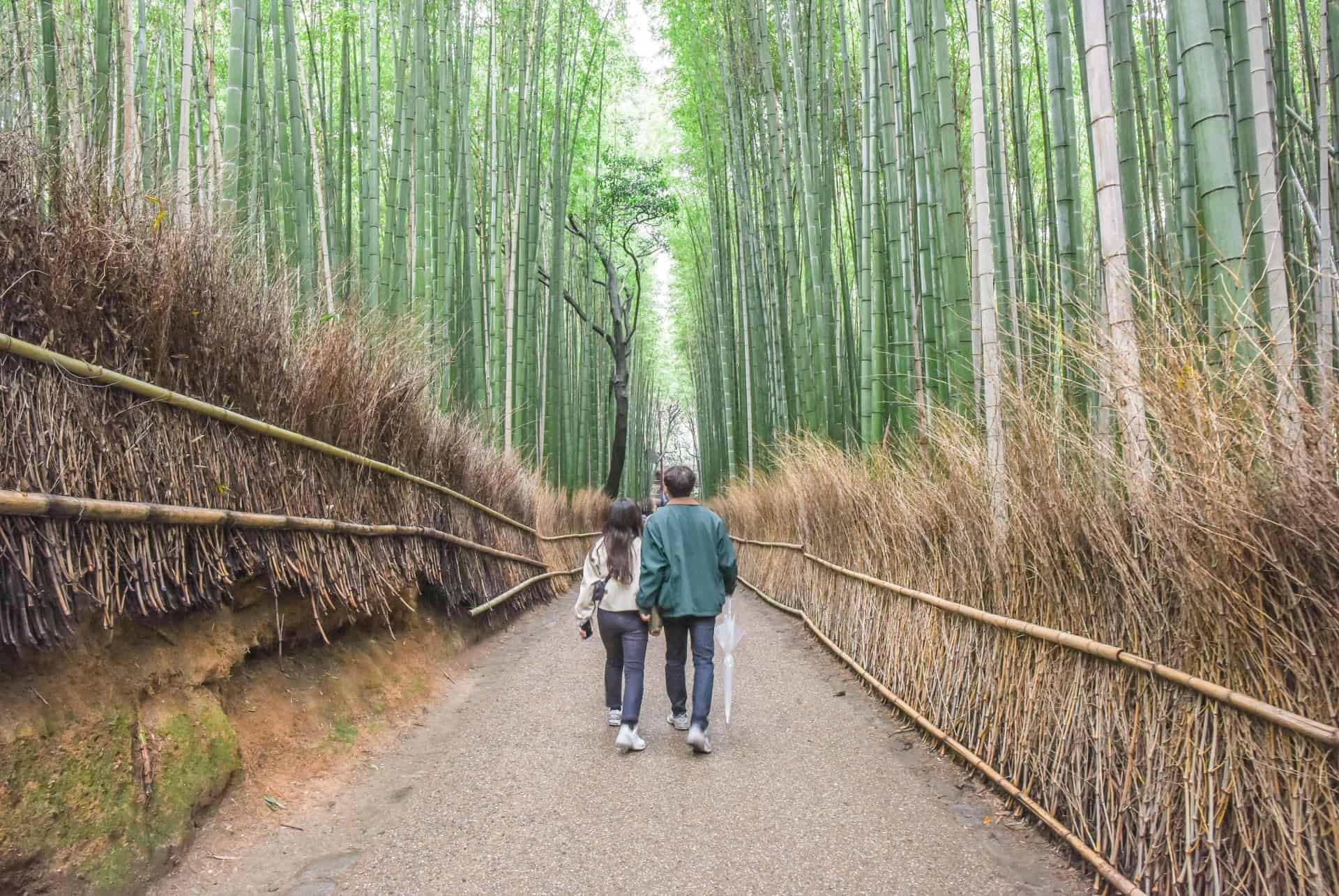 foret de bambous arashiyama kyoto foret de bambous arashiyama kyoto