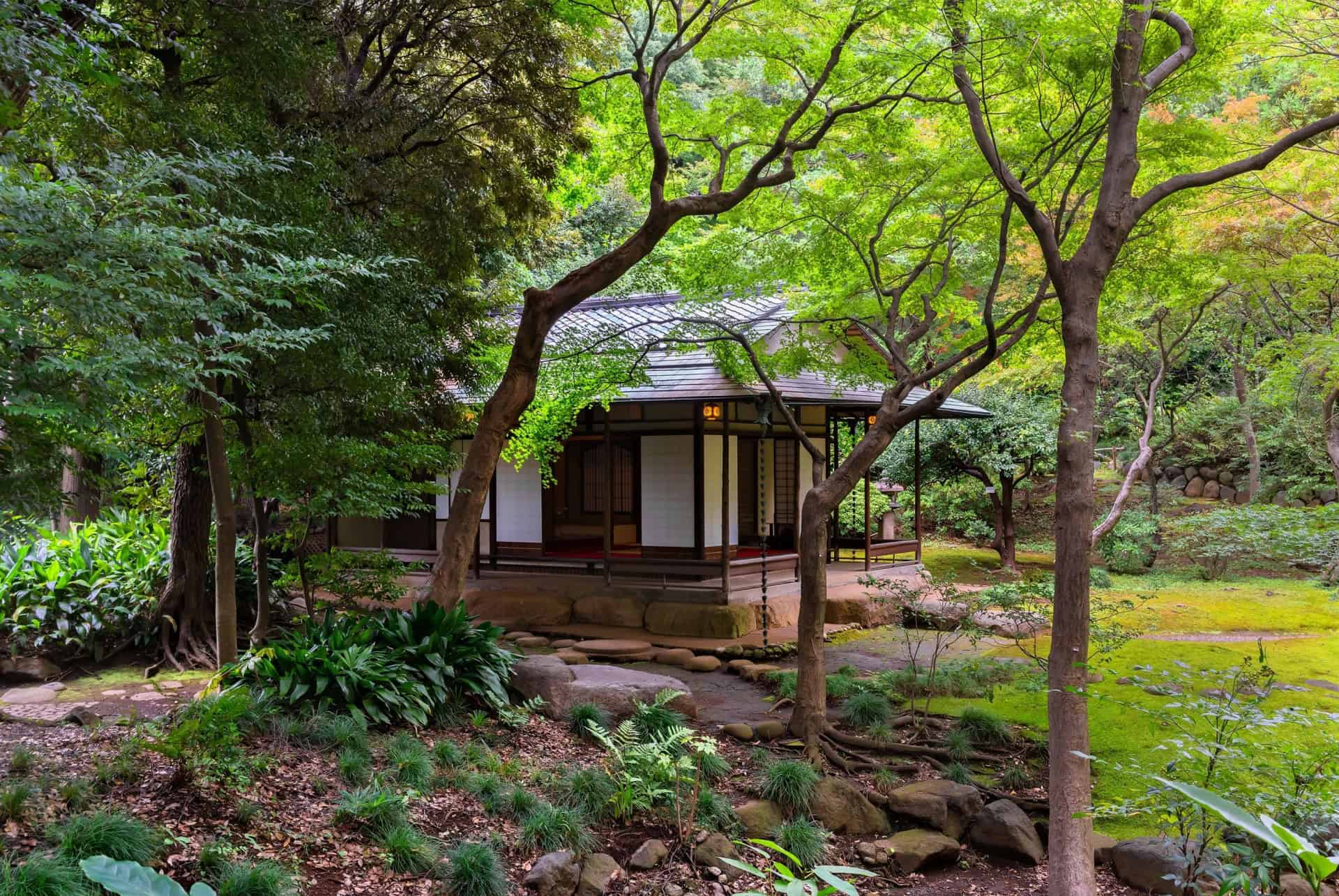 maison the tokyo maison the tokyo
