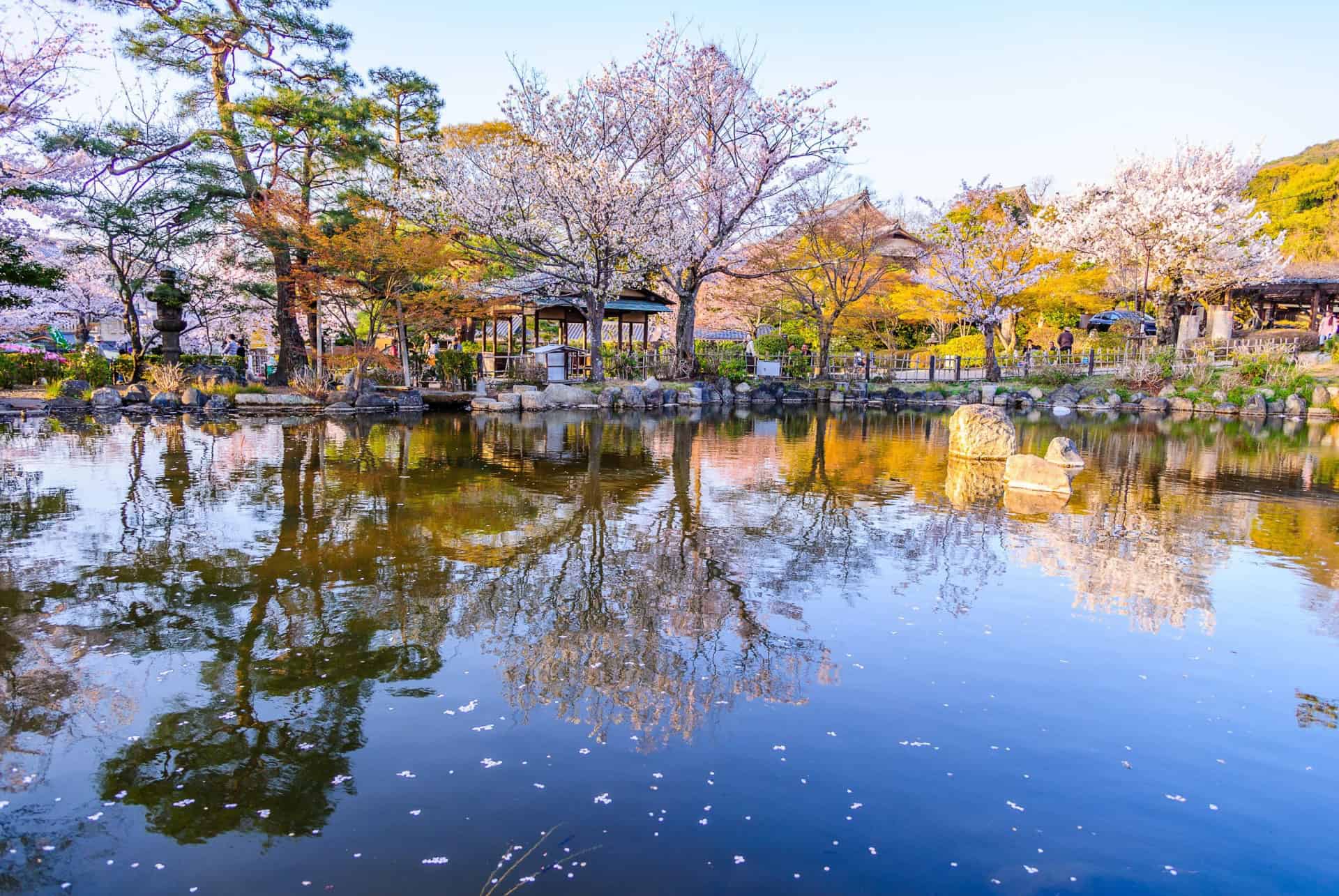 parc maruyama kyoto parc maruyama kyoto