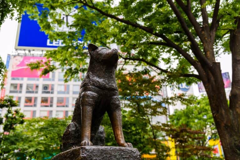 Visite de Shibuya et des rues cachées