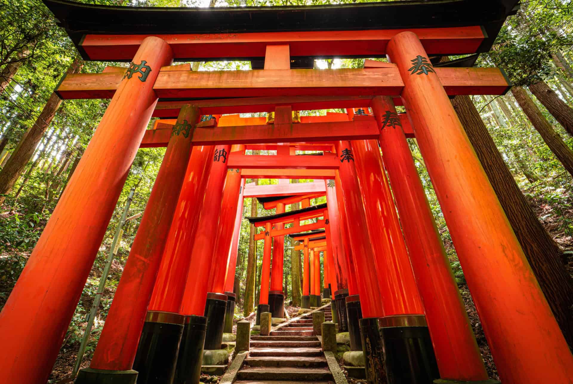 portes torii fushimi inari kyoto portes torii fushimi inari kyoto