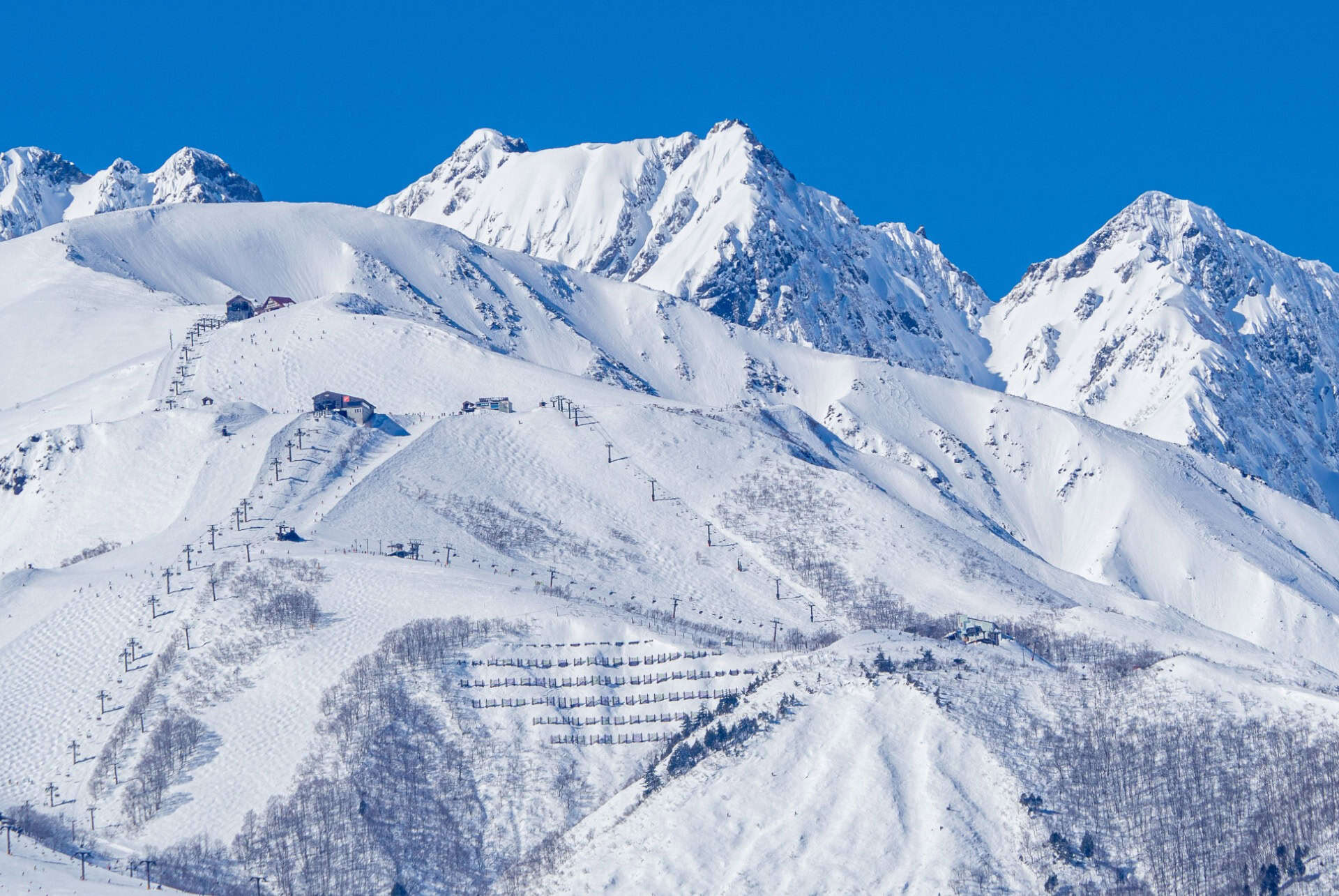 ski hakuba