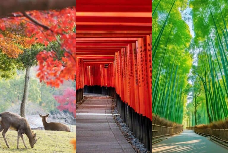 Visite des sites phares de Kyoto et Nara