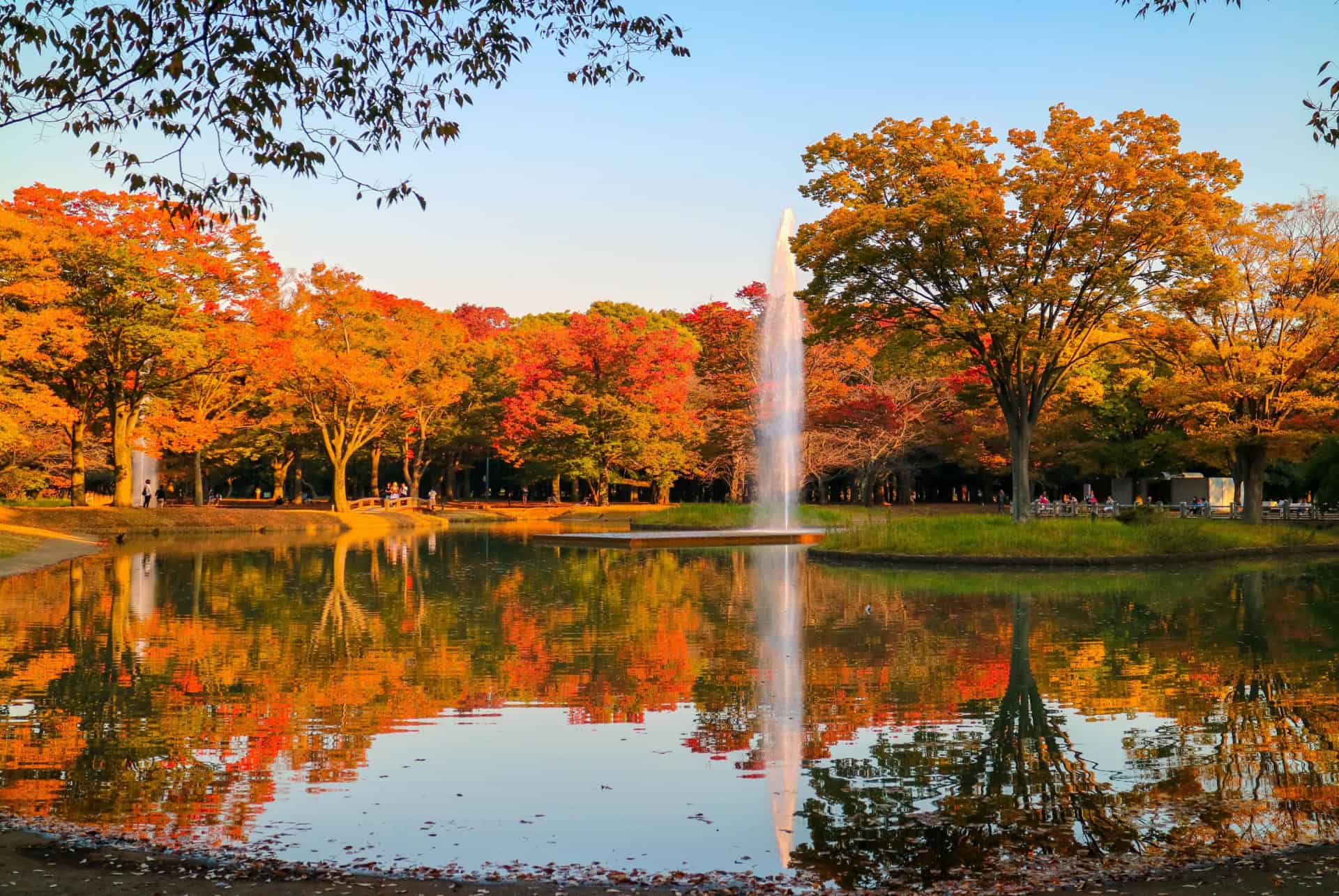 yoyogi parc tokyo 3 jours