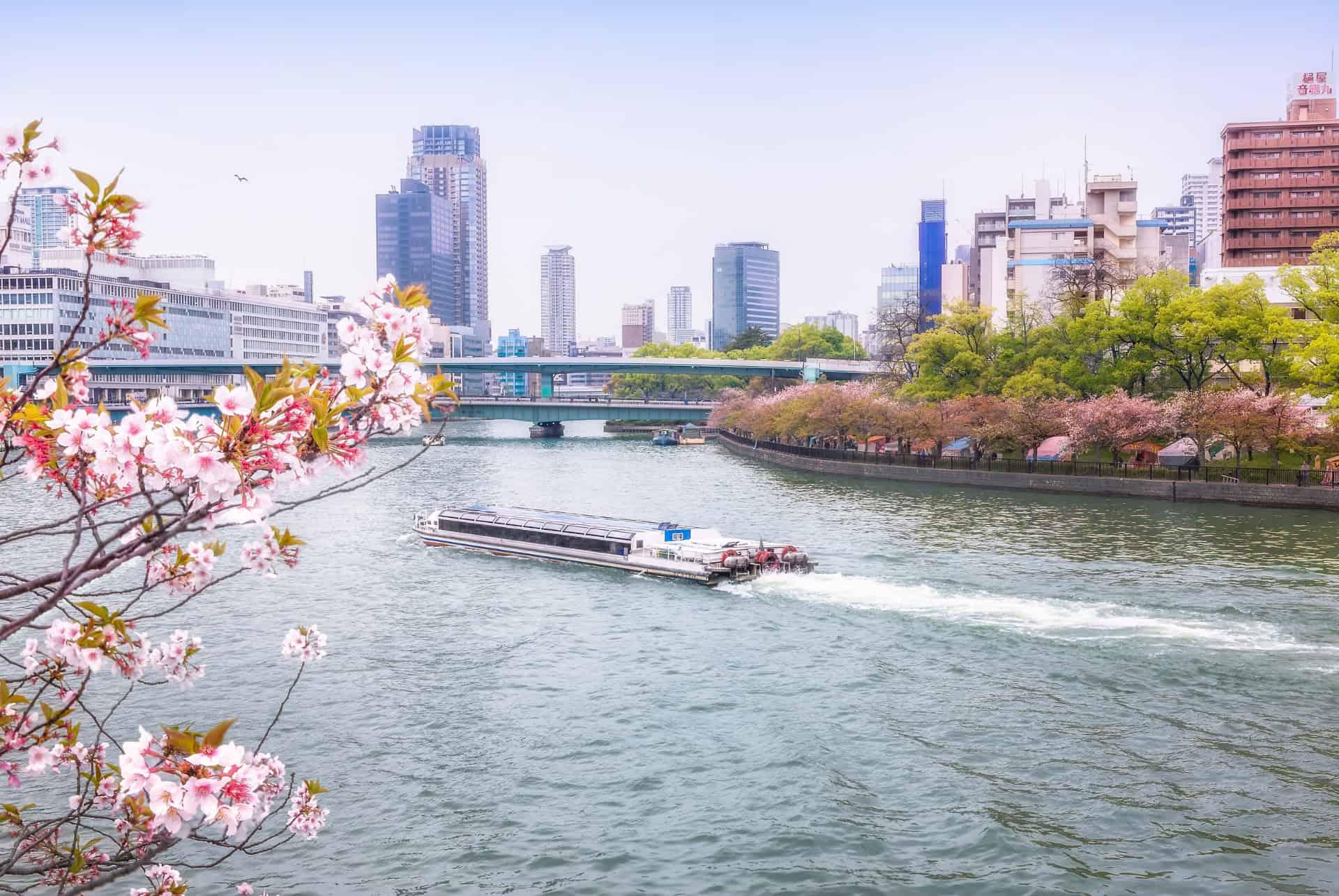 croisiere sur riviere okawa cerisiers en fleurs à osaka croisiere sur riviere okawa