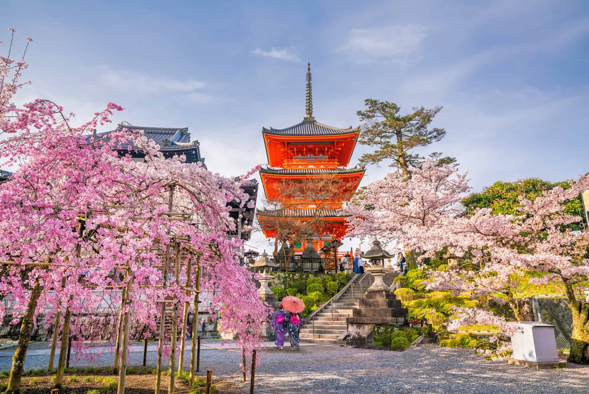 kiyozumi dera sakura kiyozumi dera sakura