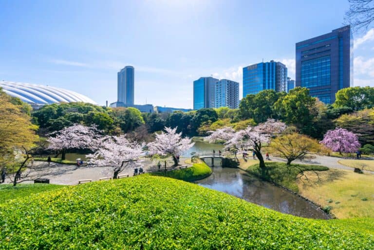Visite guidée privée dans les plus beaux jardins de Tokyo