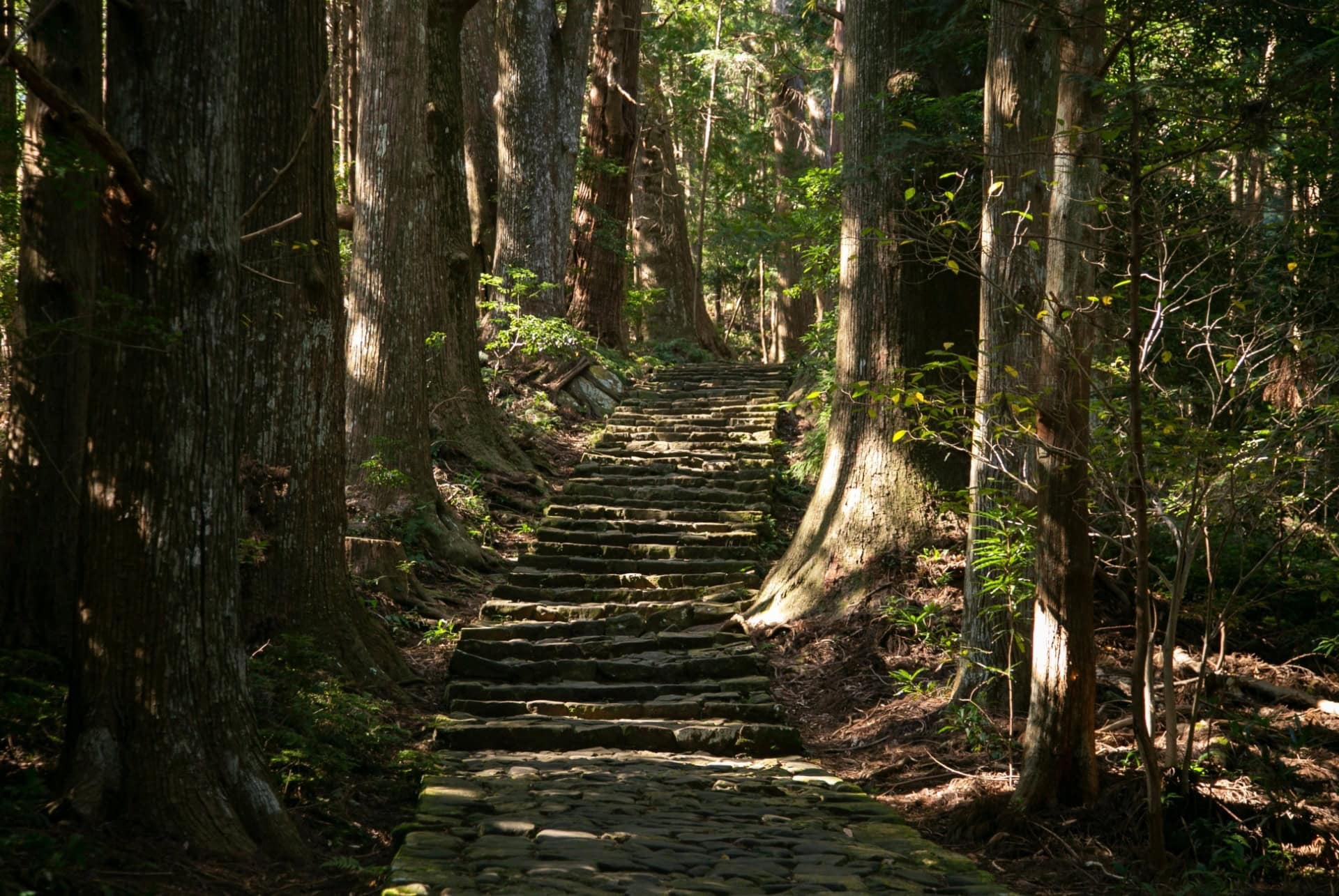 kumano kodo que faire japon