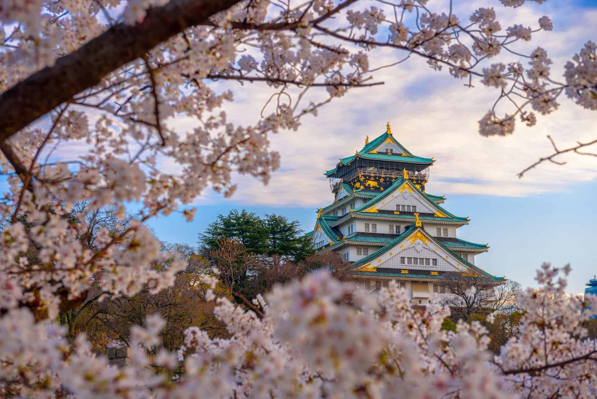 parc chateau osaka et jardin nishinomaru