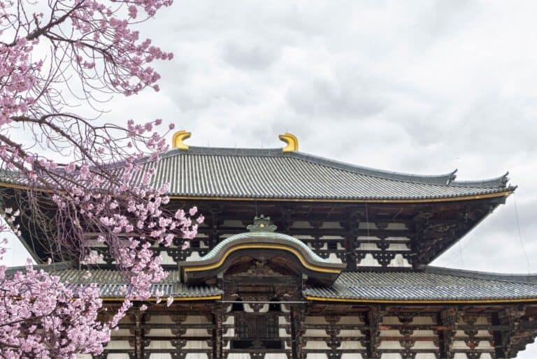 Excursion d'une journée à Nara et Uji