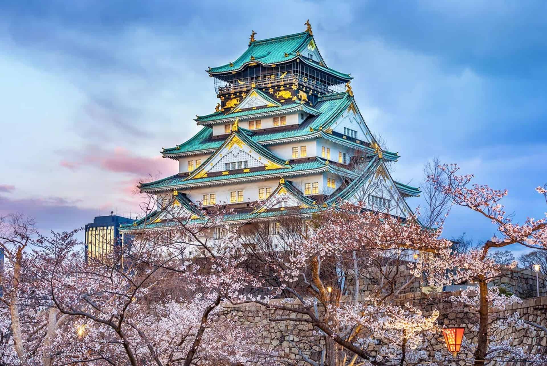 visite chateau osaka sakura