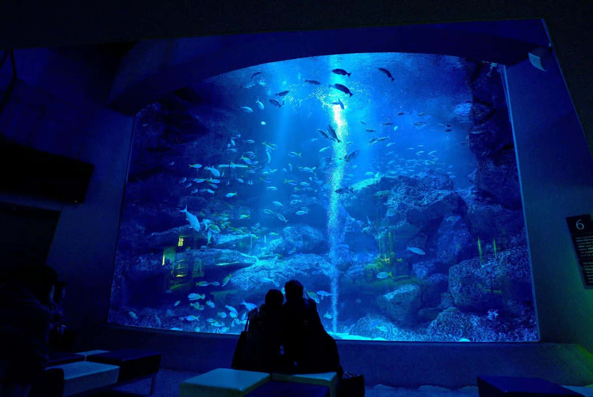 visiter sumida aquarium visiter sumida aquarium