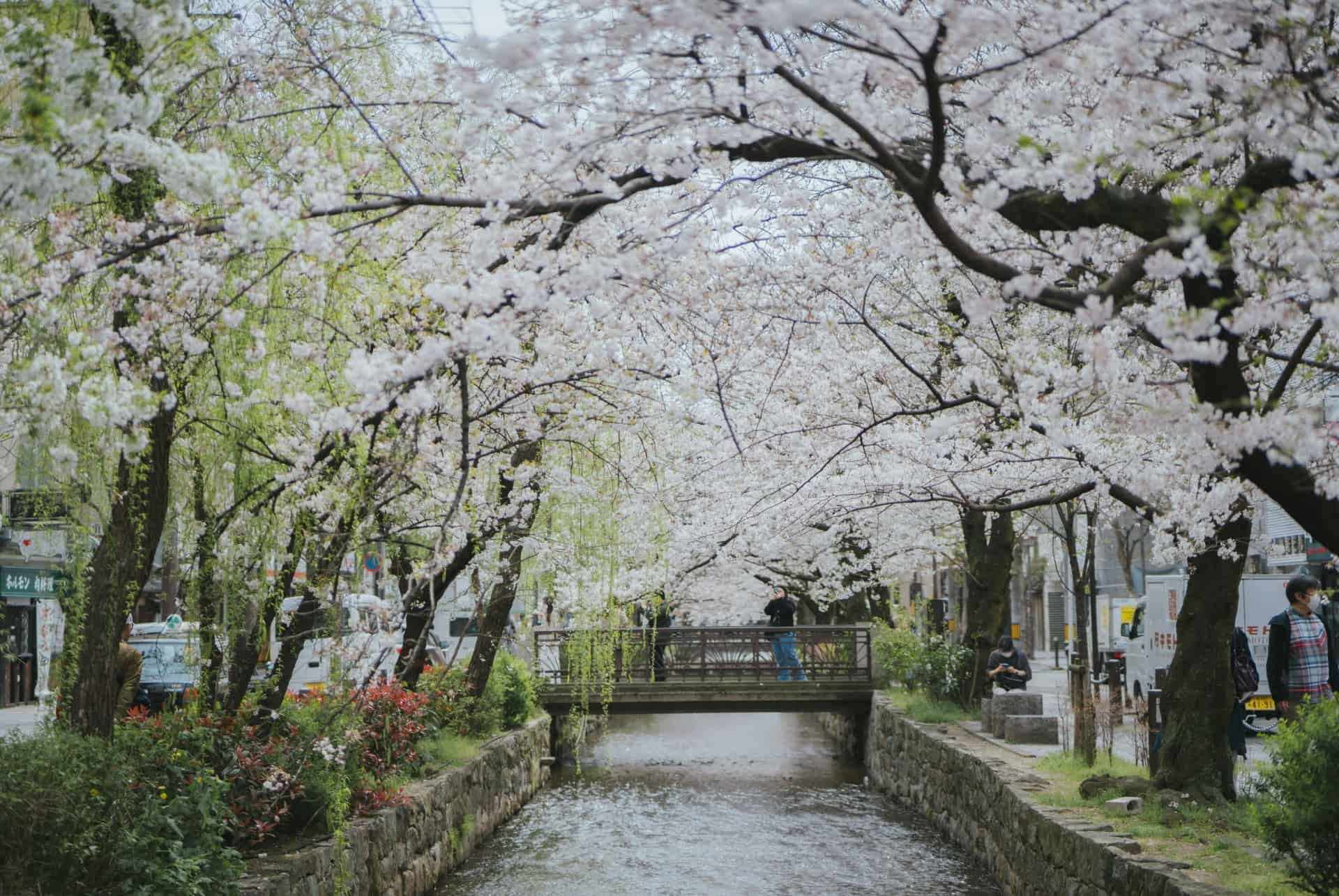 kiyamachi dori