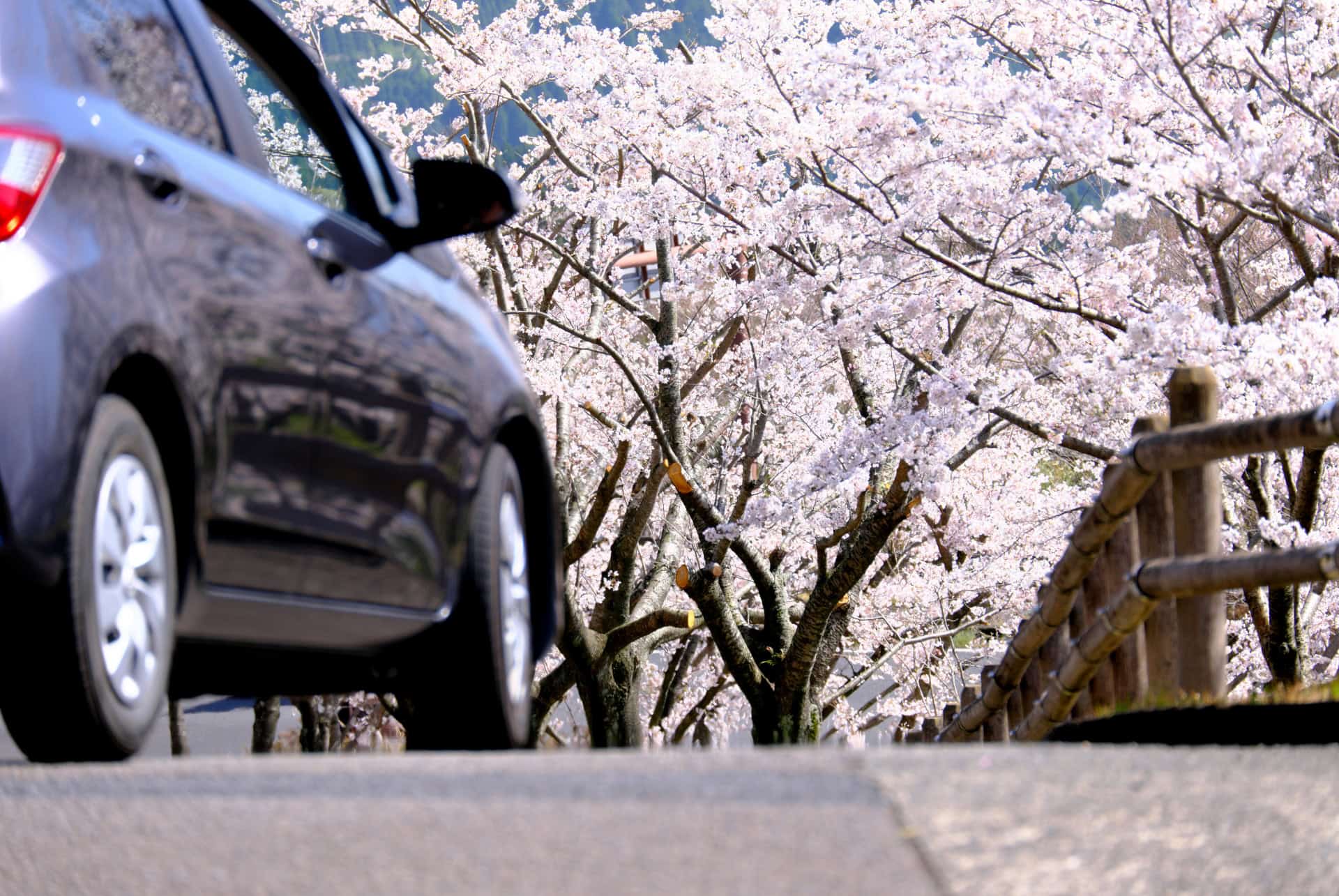 location voiture citadine japon