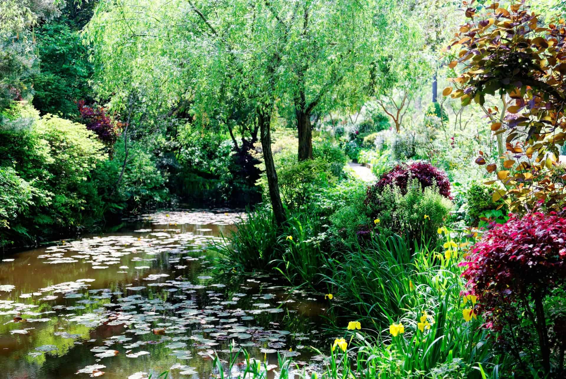 musee chichu jardin