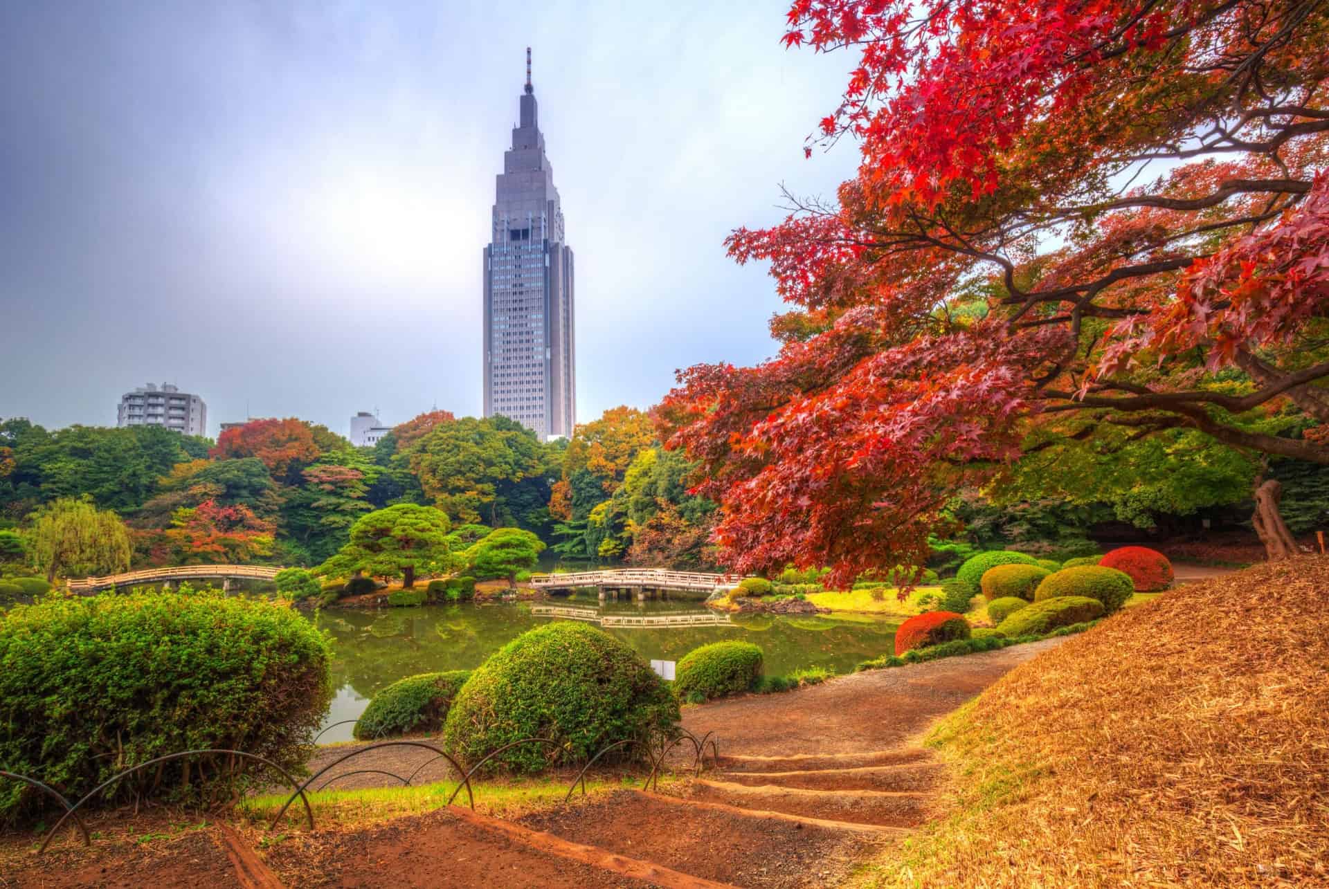 shinjuku koen