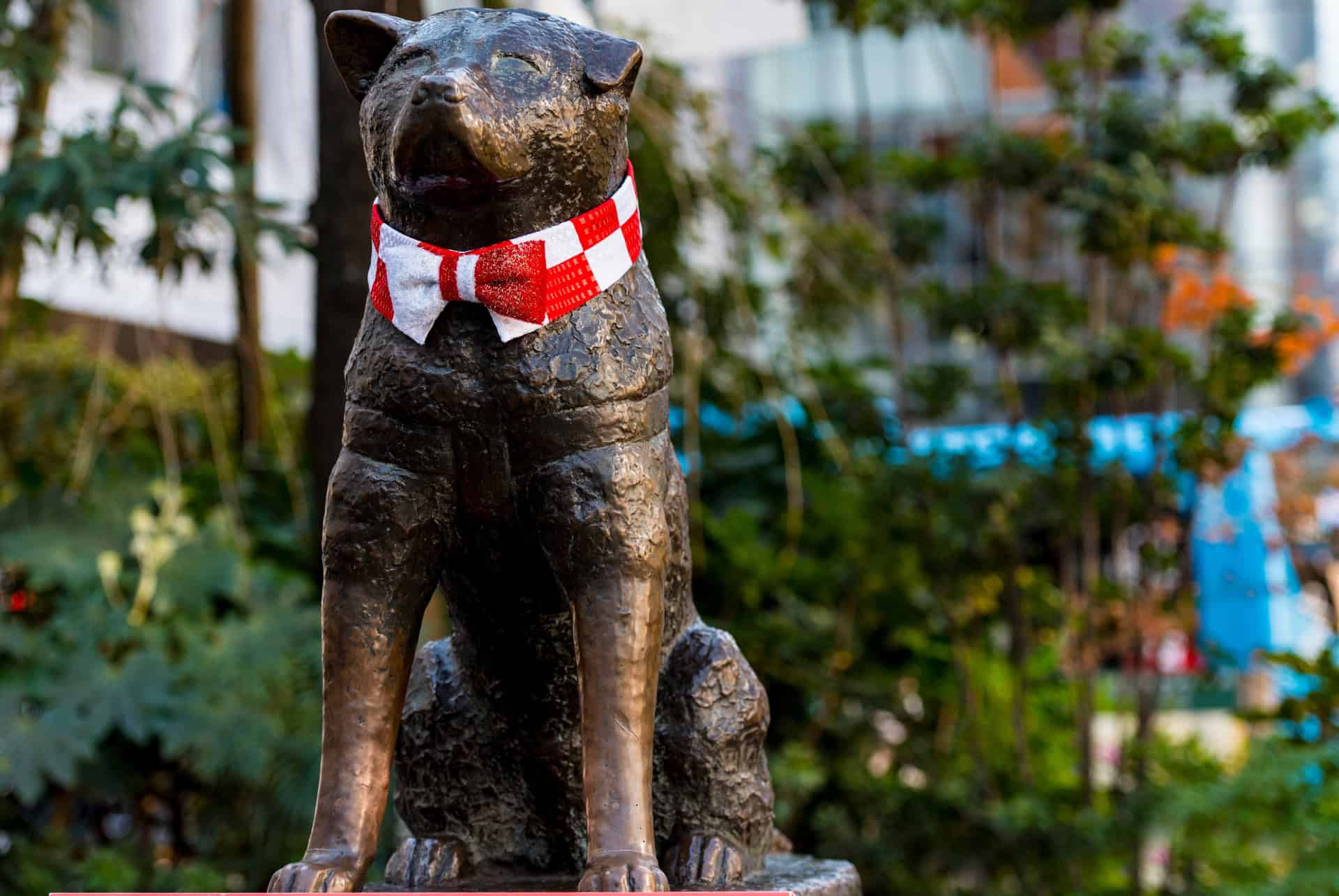 statue hachiko shibuya
