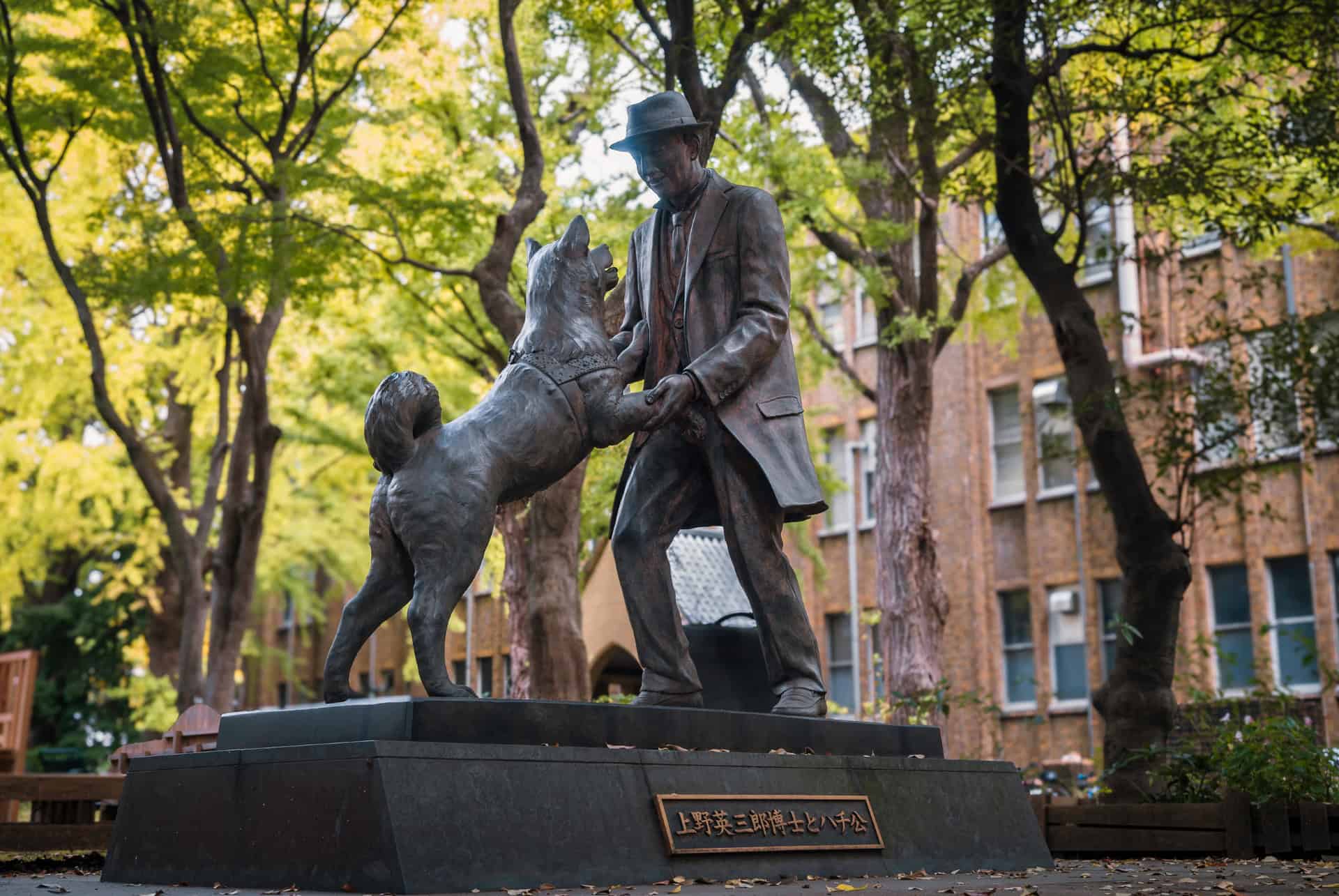 statue hachiko universite tokyo