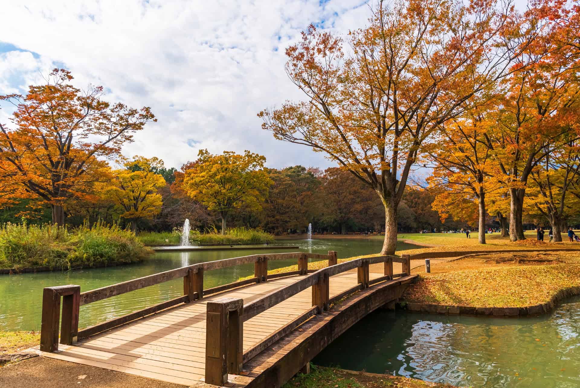 yoyogi park tokyo automne