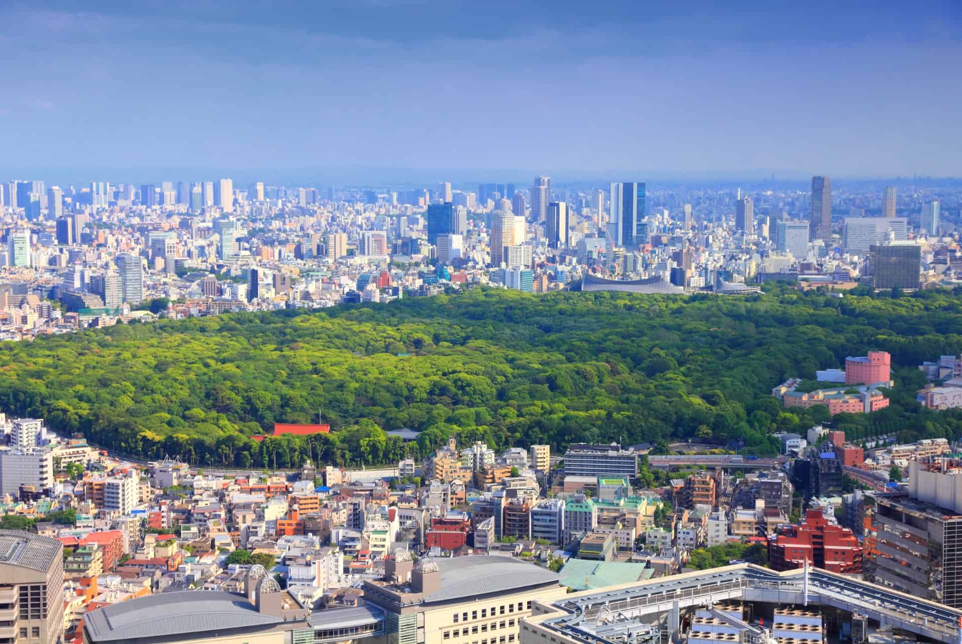 yoyogi park tokyo vue aerienne
