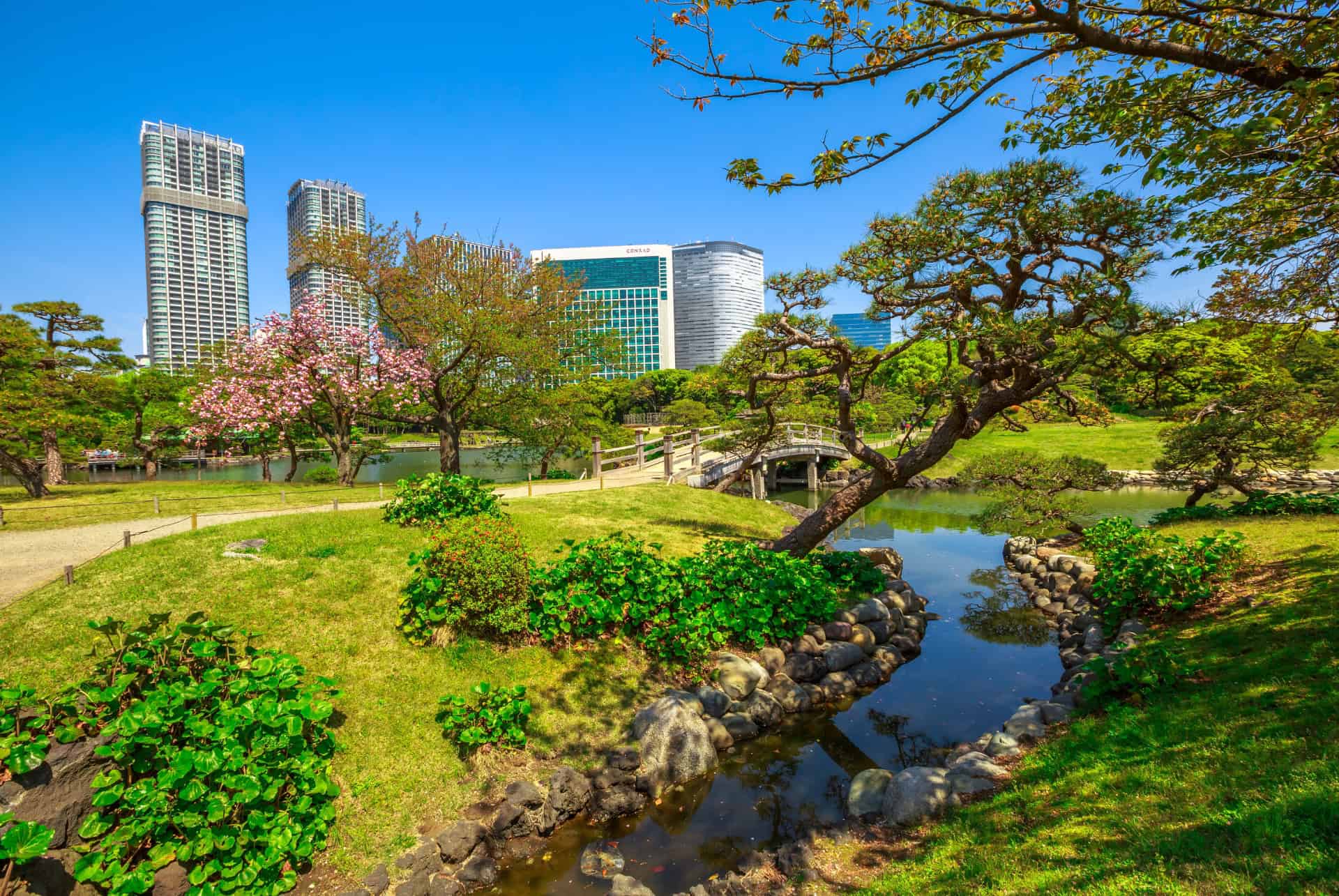 hama rikyu gardens