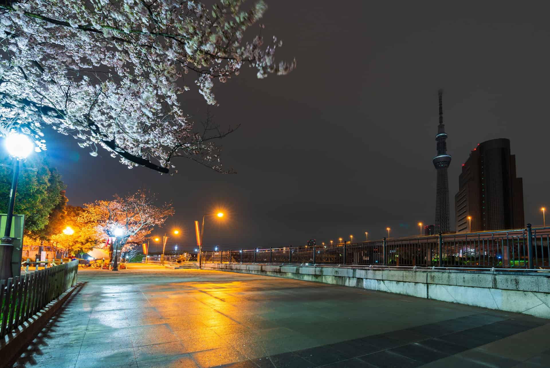 sumida river walk