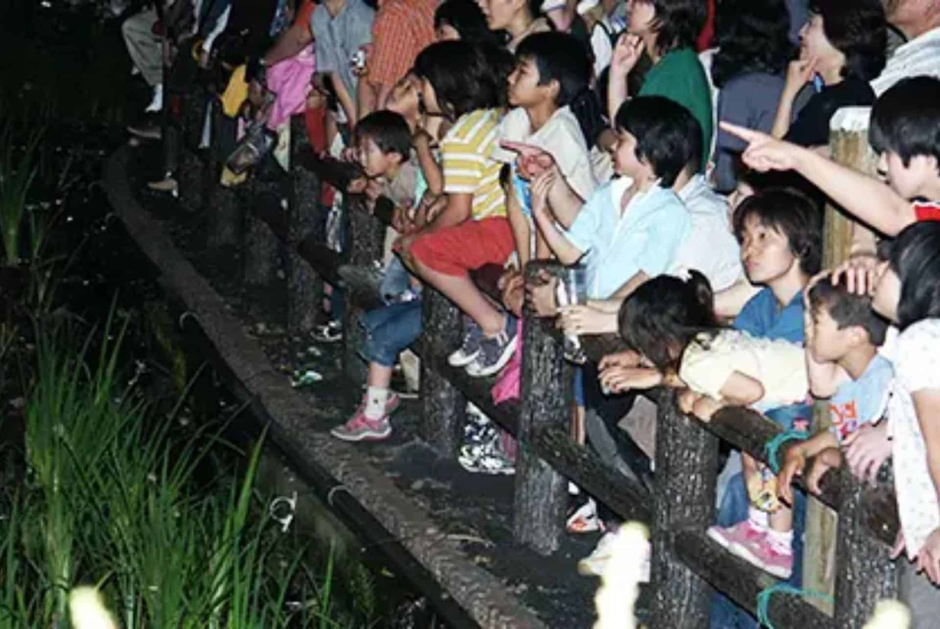fussa ou voir des lucioles au japon