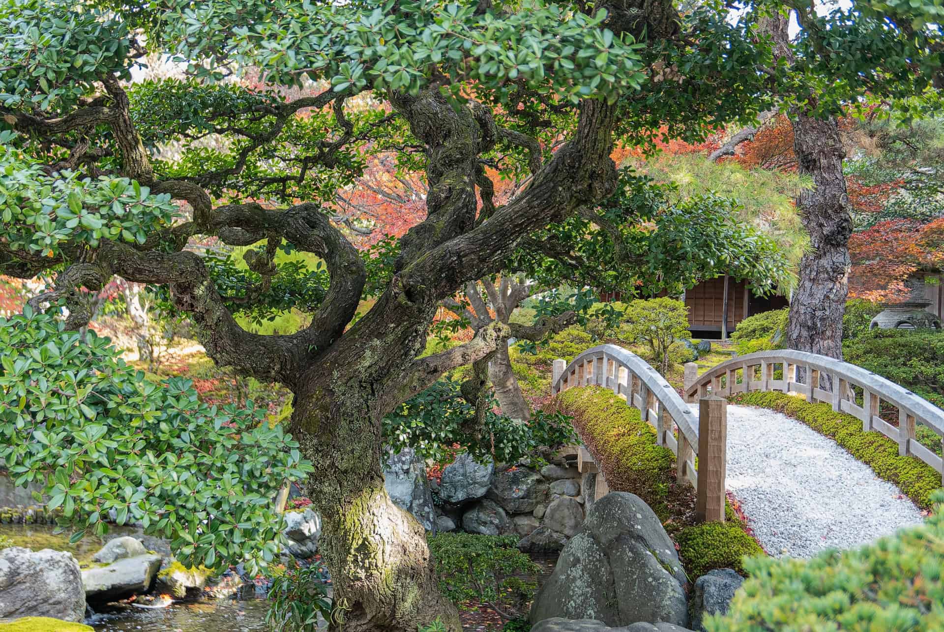kyoto palais