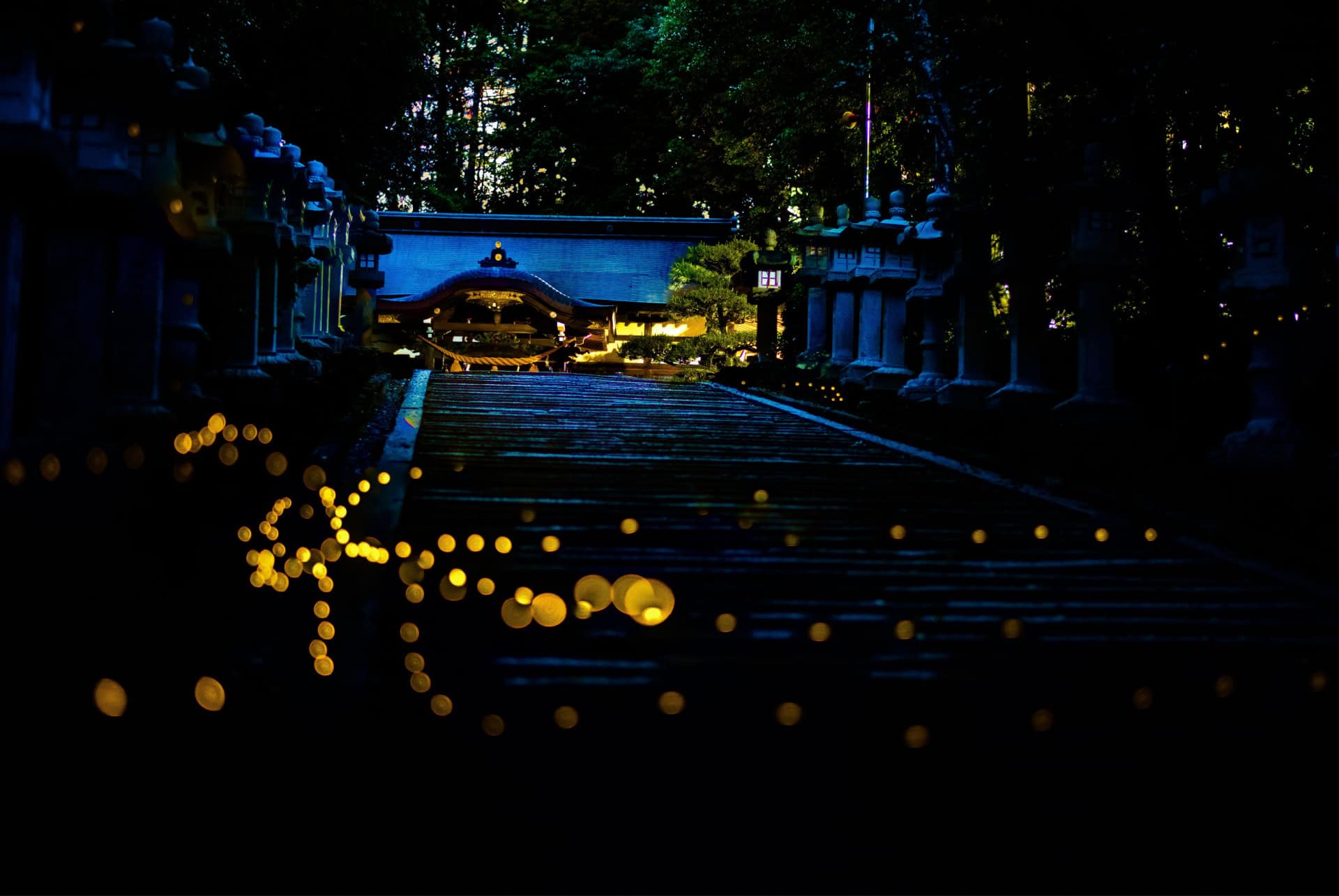 lucioles japon juin